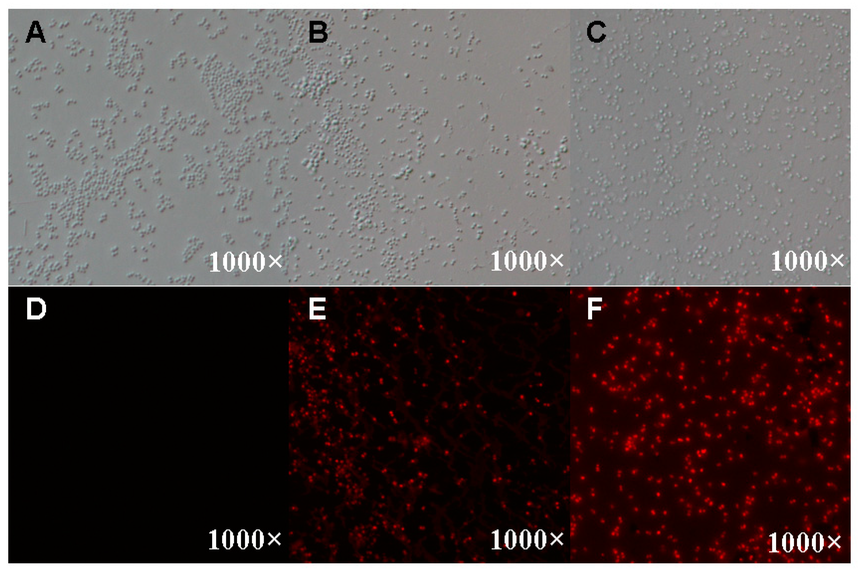 Insects 15 00872 g003