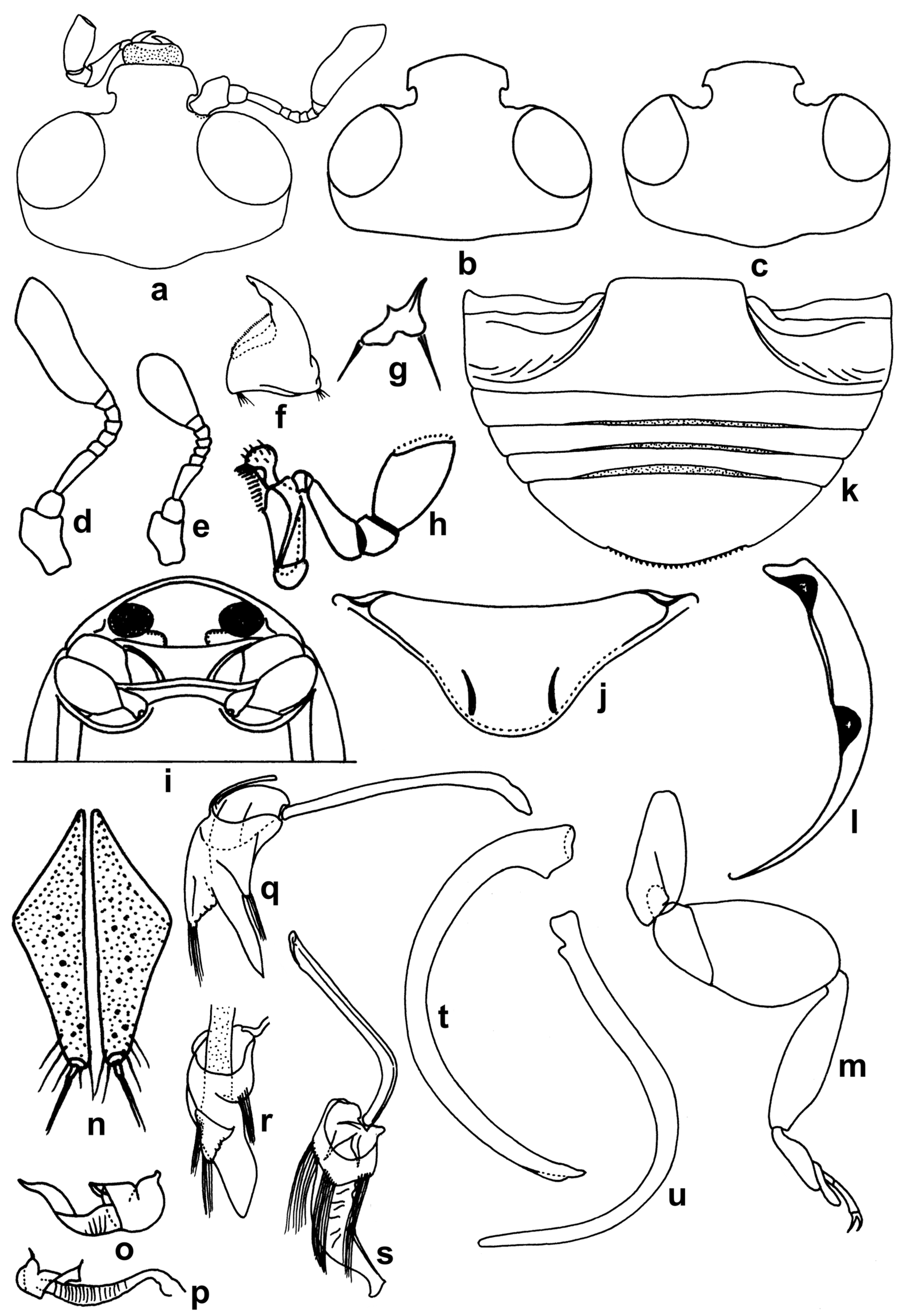 Insects 15 00874 g001