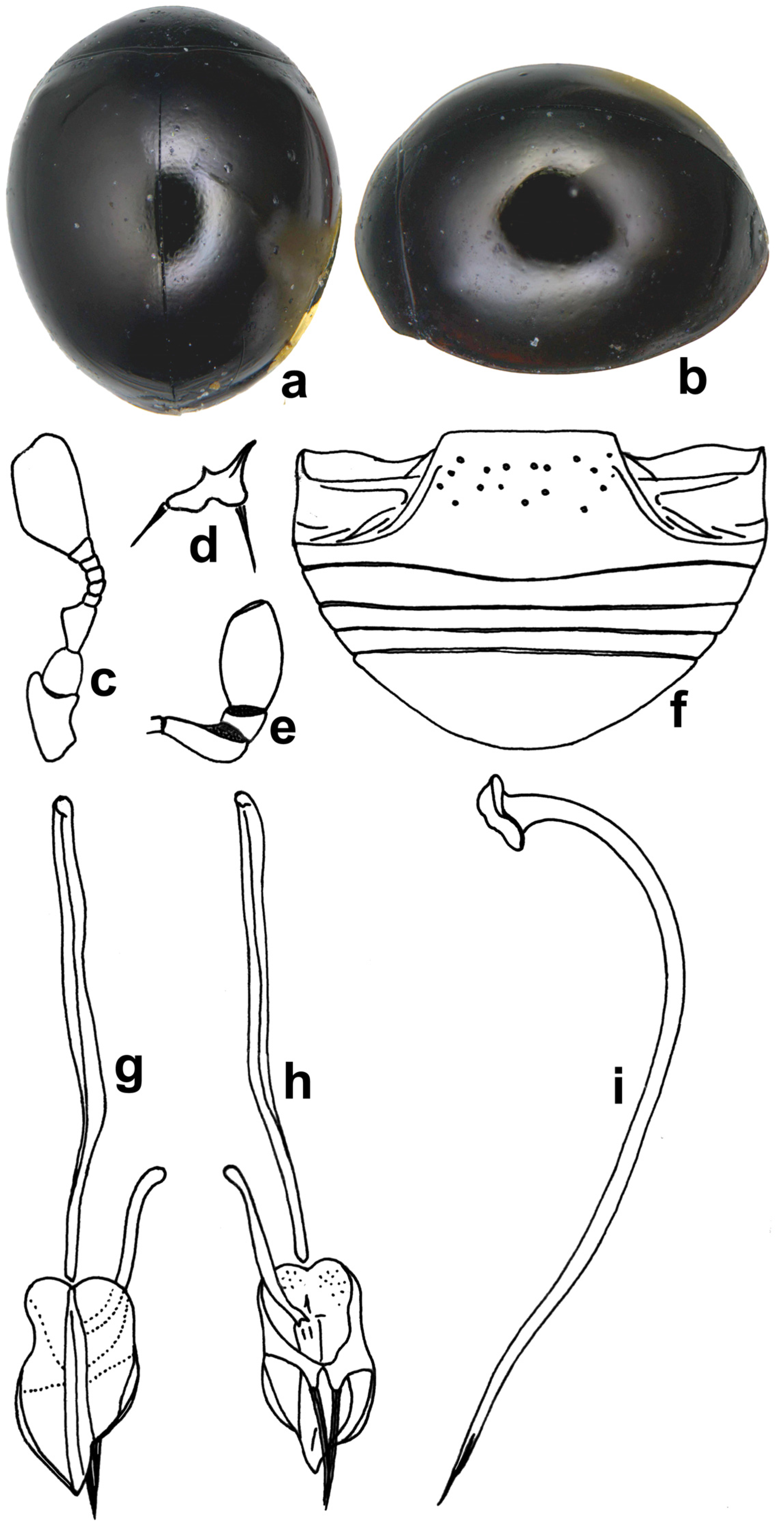 Insects 15 00874 g002
