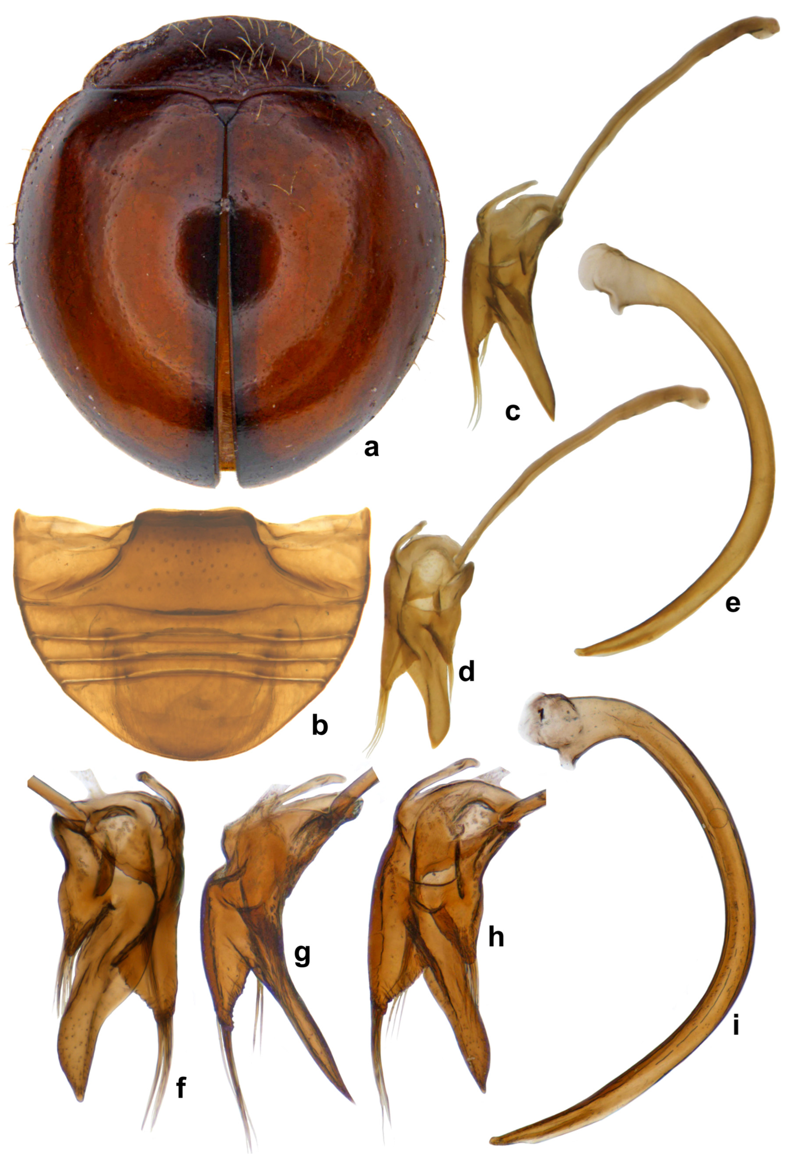 Insects 15 00874 g007