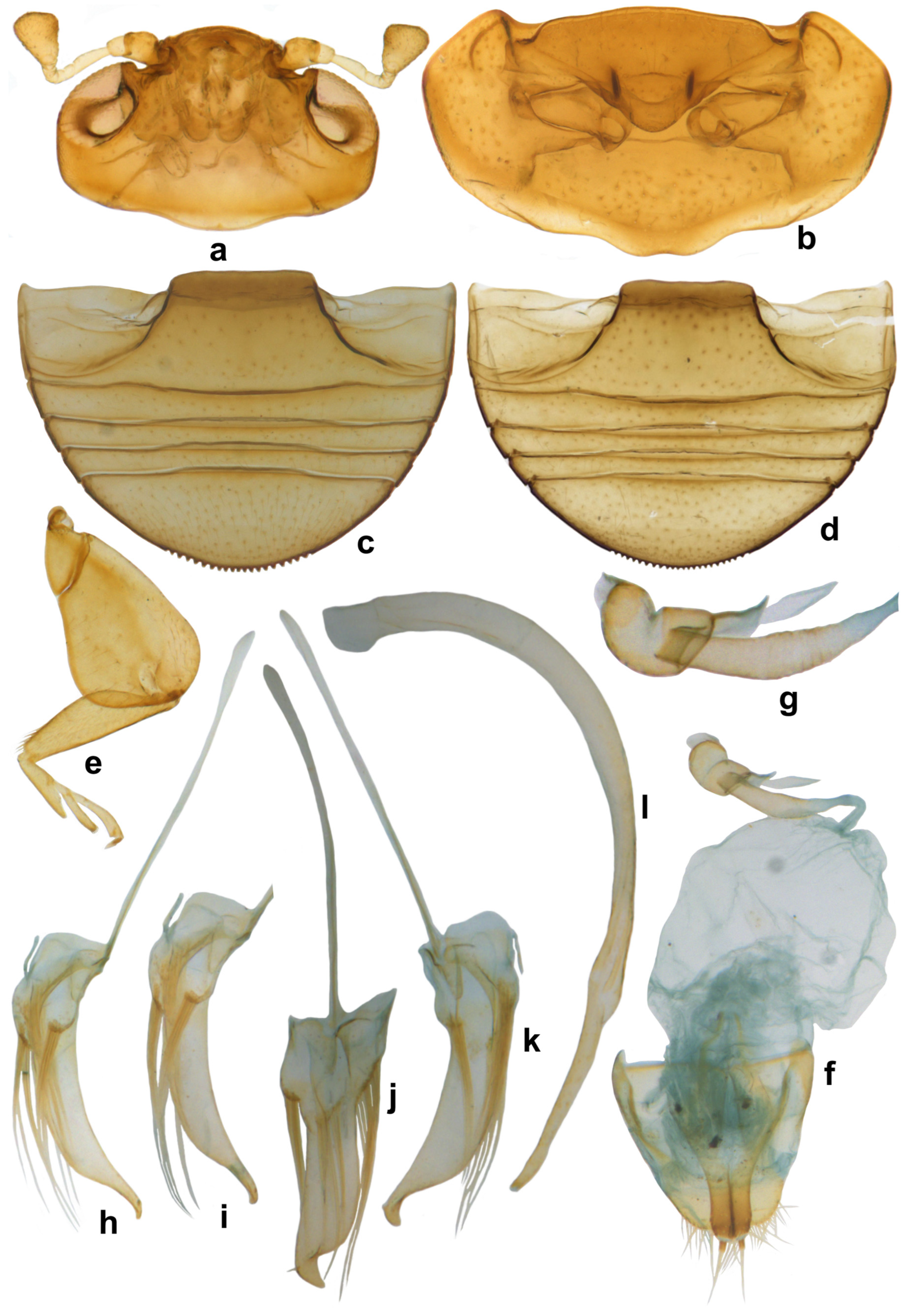 Insects 15 00874 g015