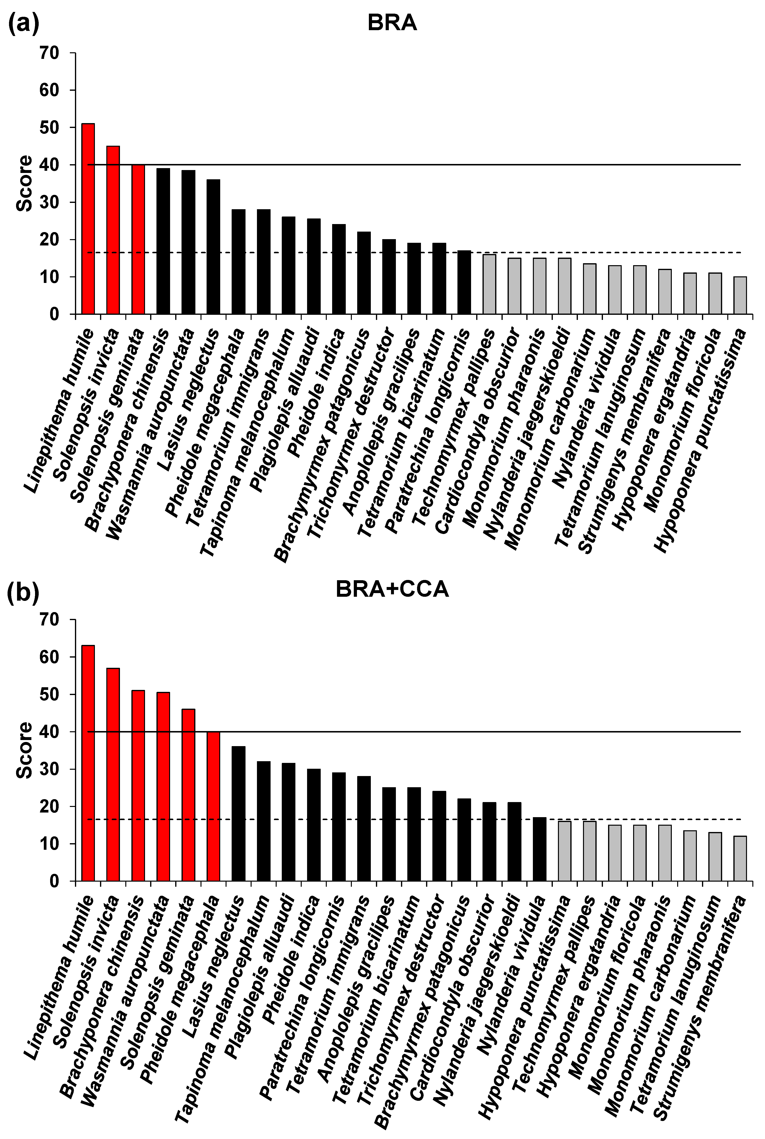 Insects 15 00875 g001
