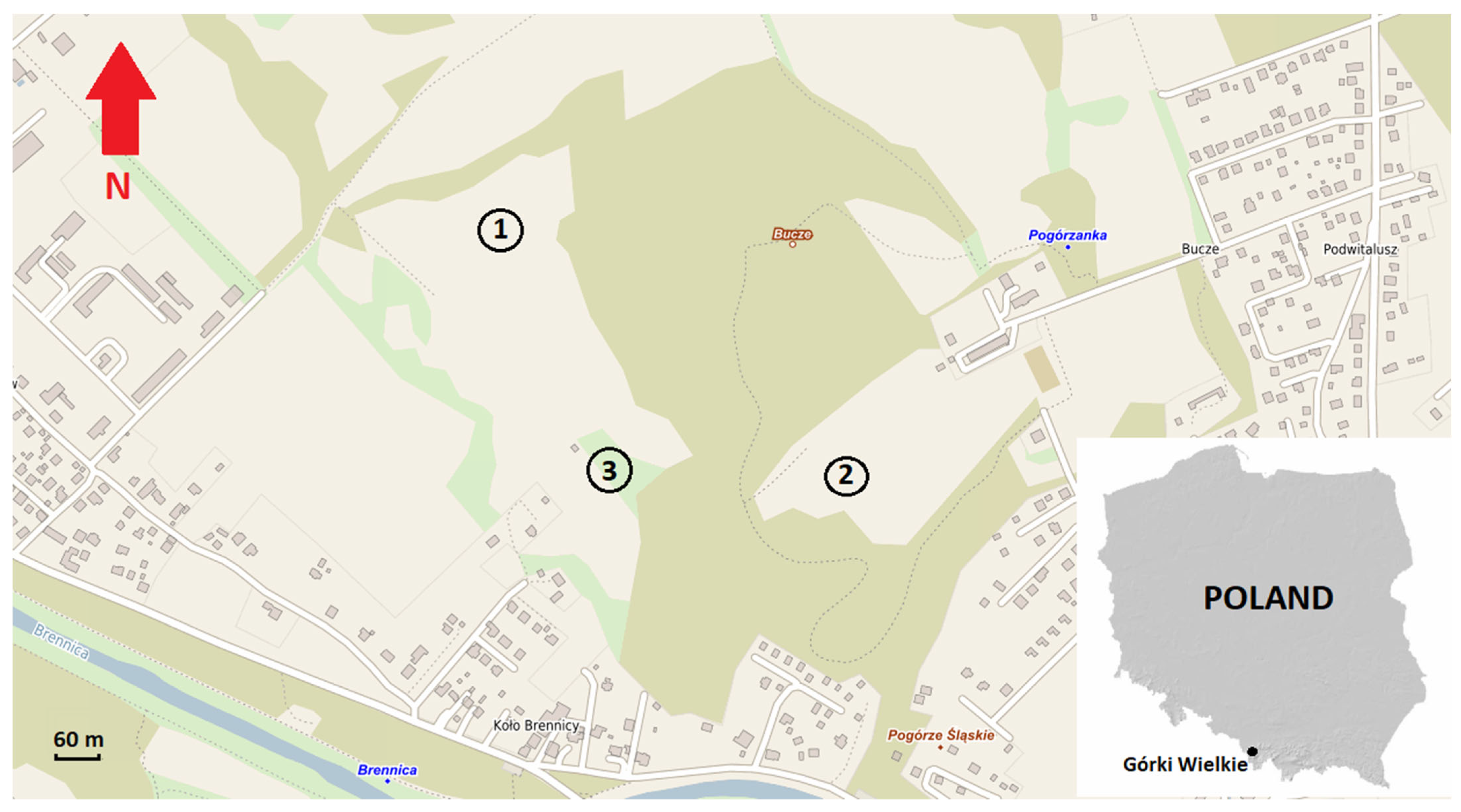 Insects 15 00881 g001