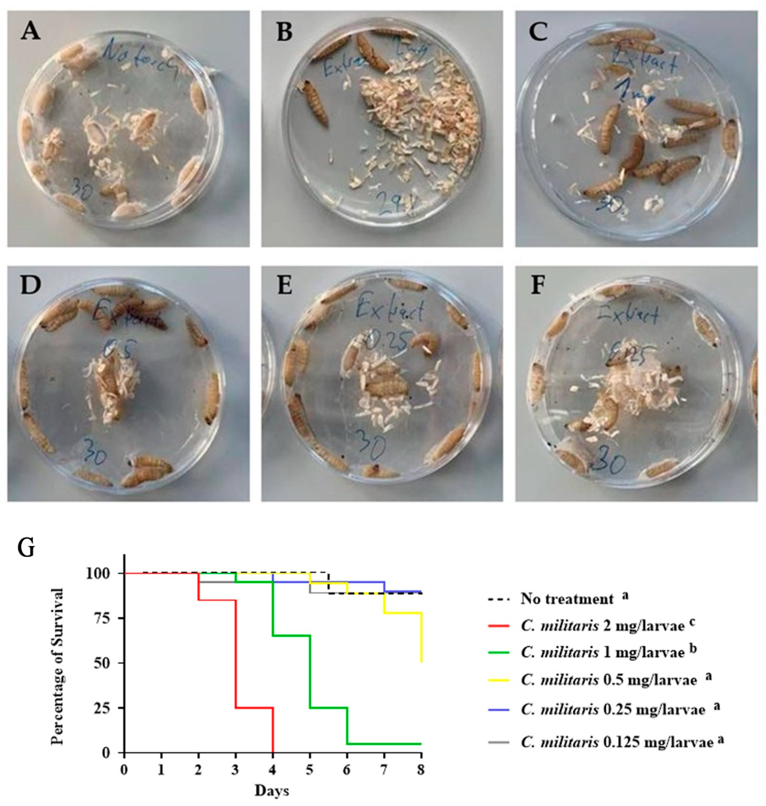Insects 15 00882 g002