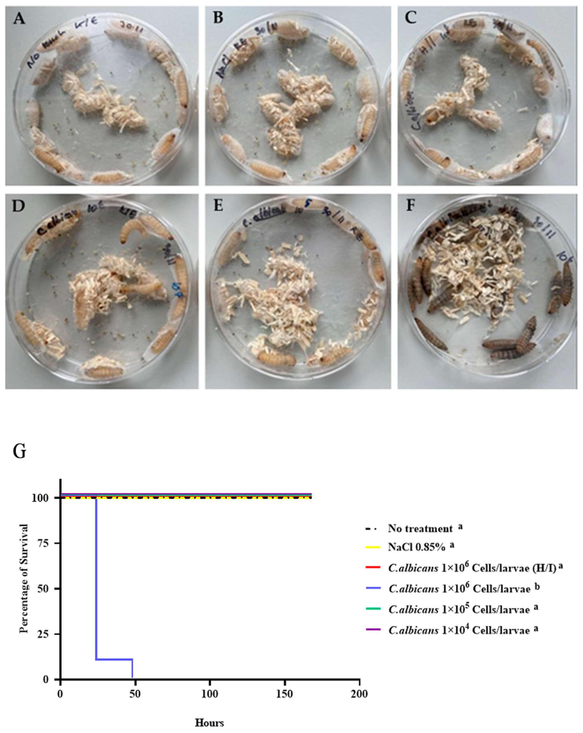Insects 15 00882 g003