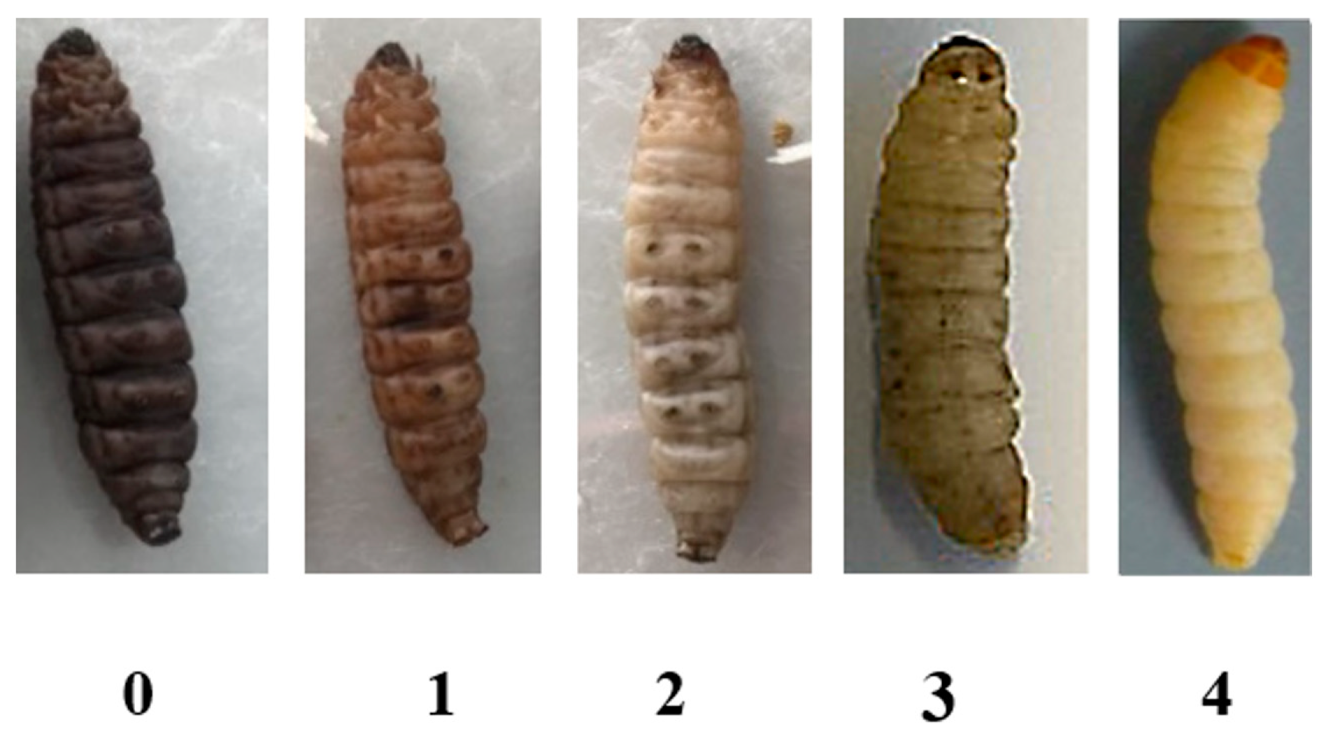 Insects 15 00882 g005