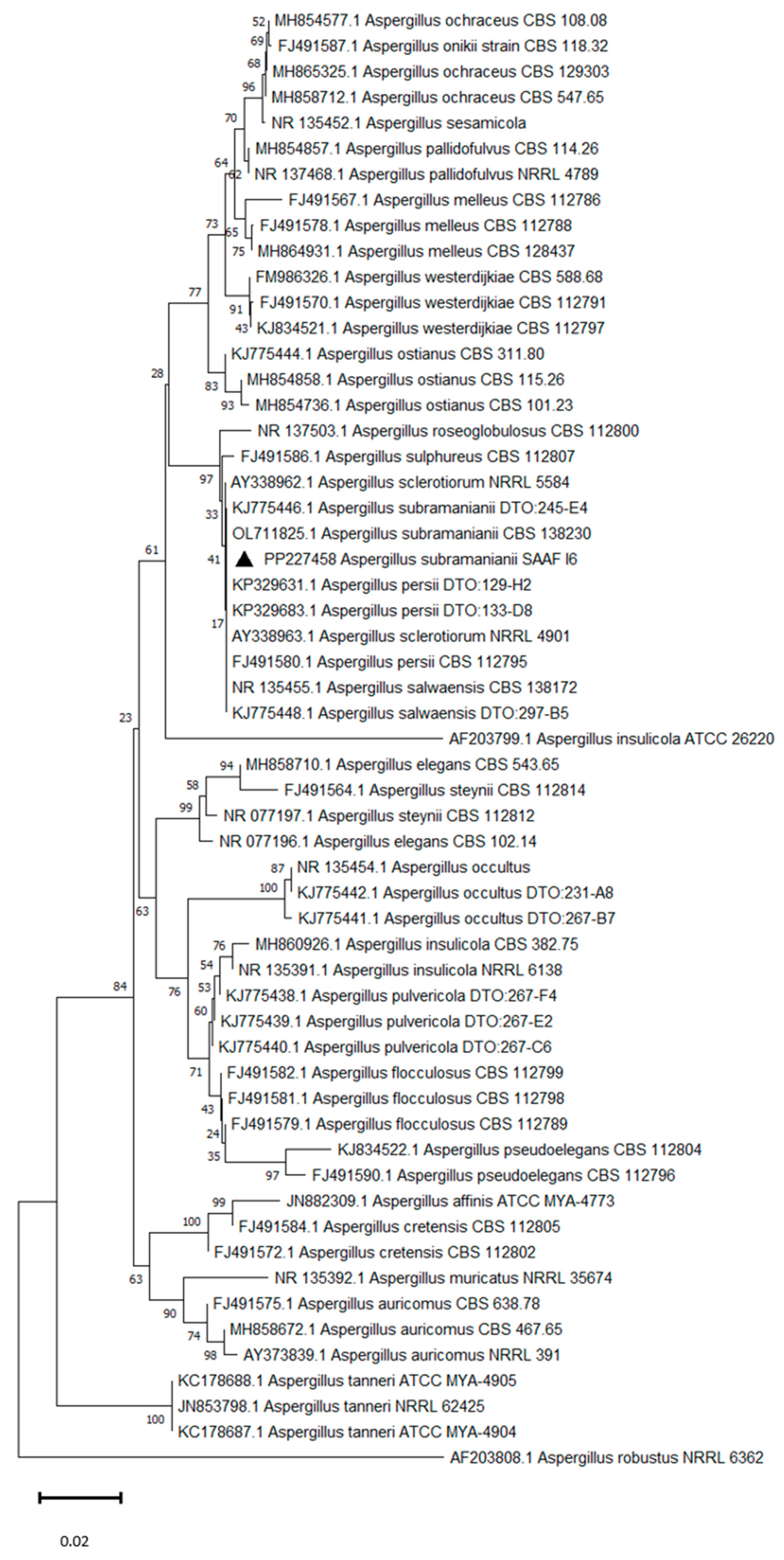 Insects 15 00899 g005