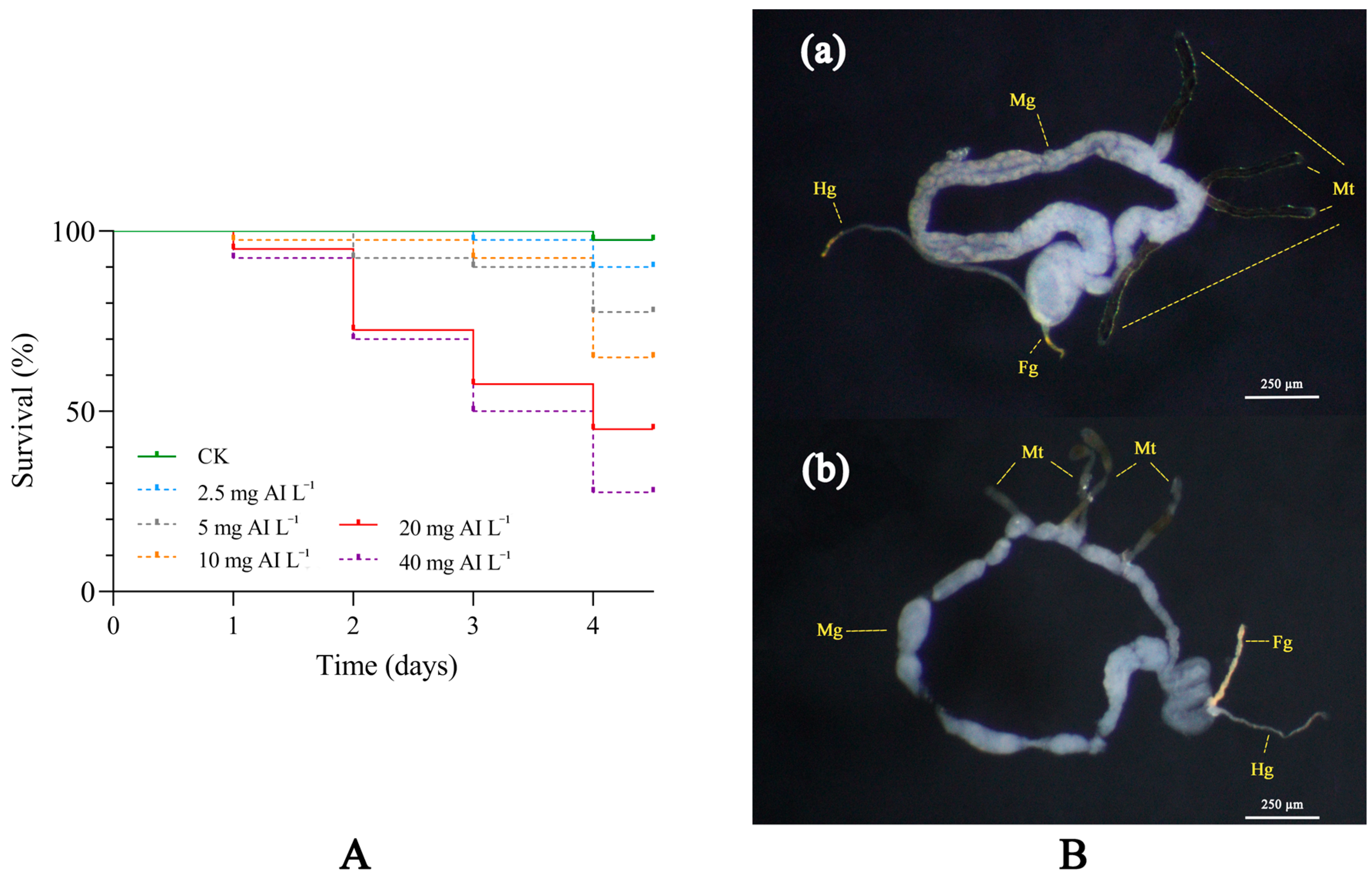 Insects 15 00900 g001