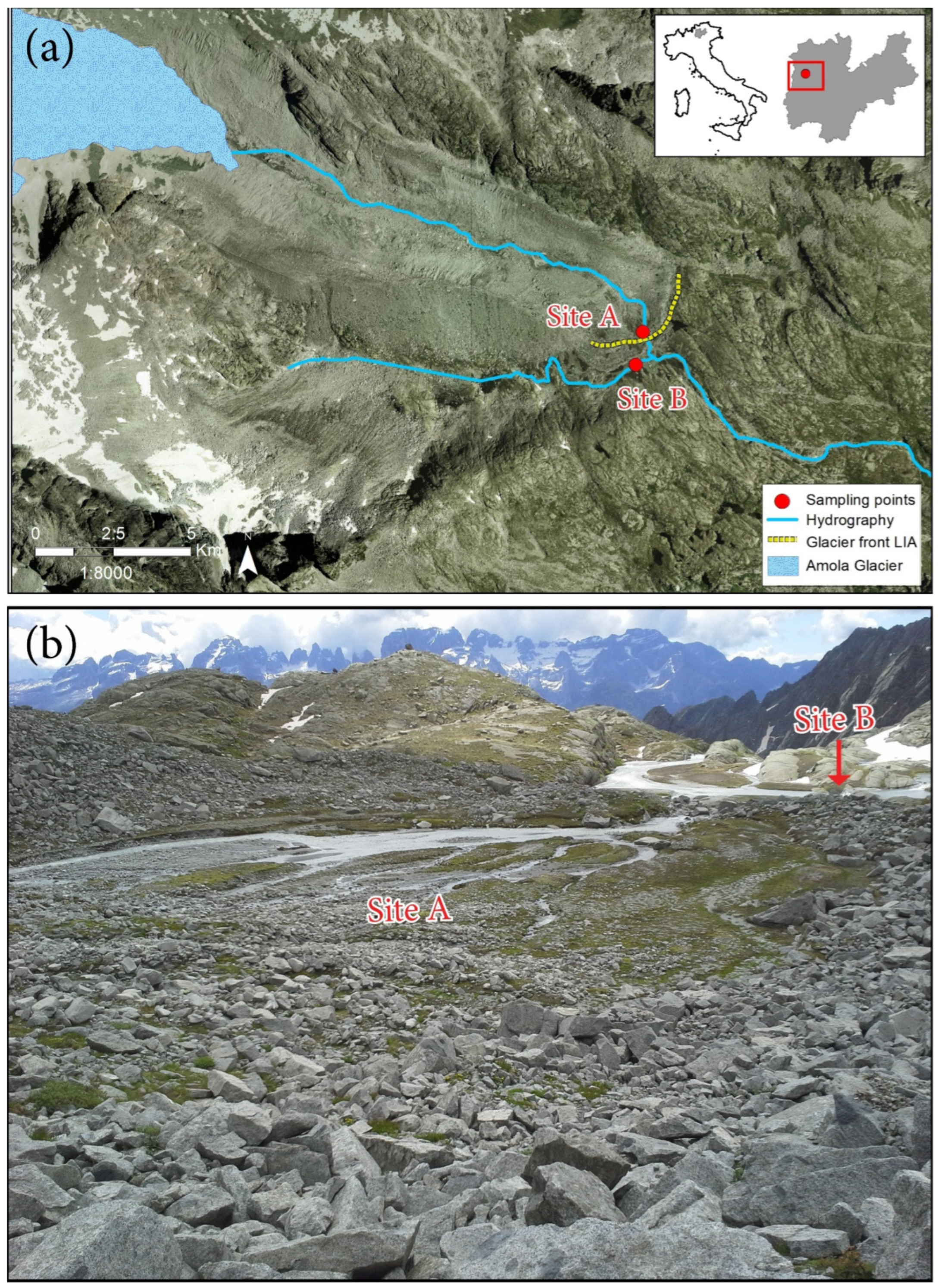 Insects 15 00904 g001