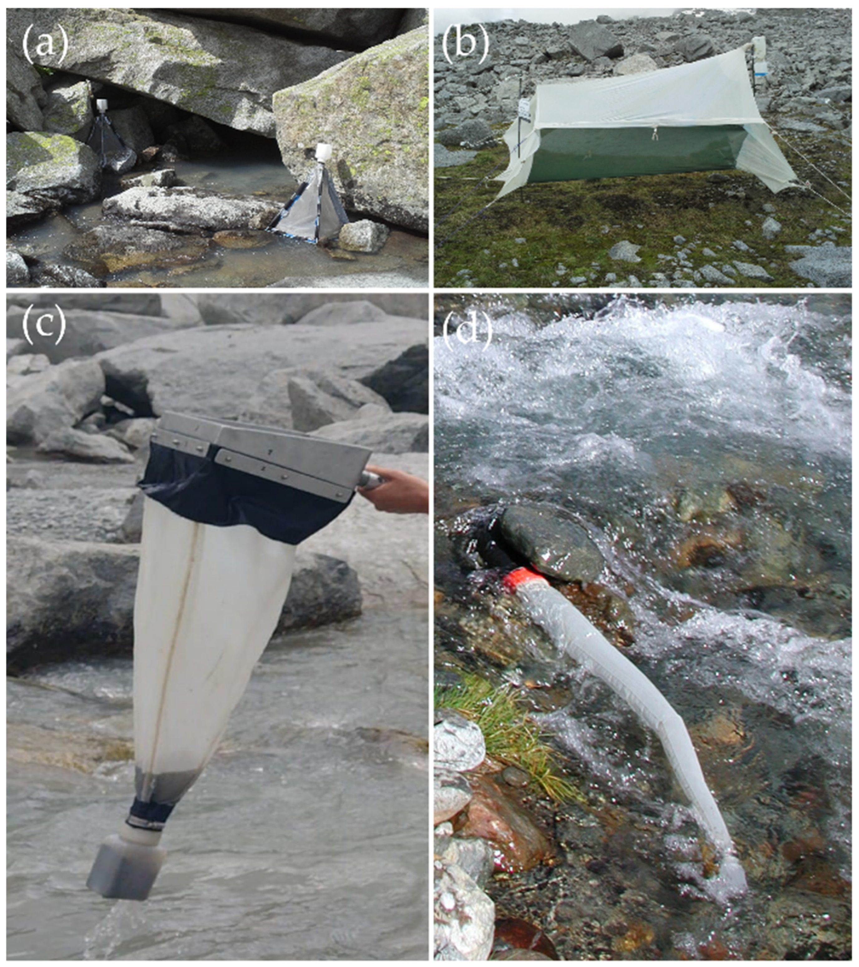 Insects 15 00904 g002