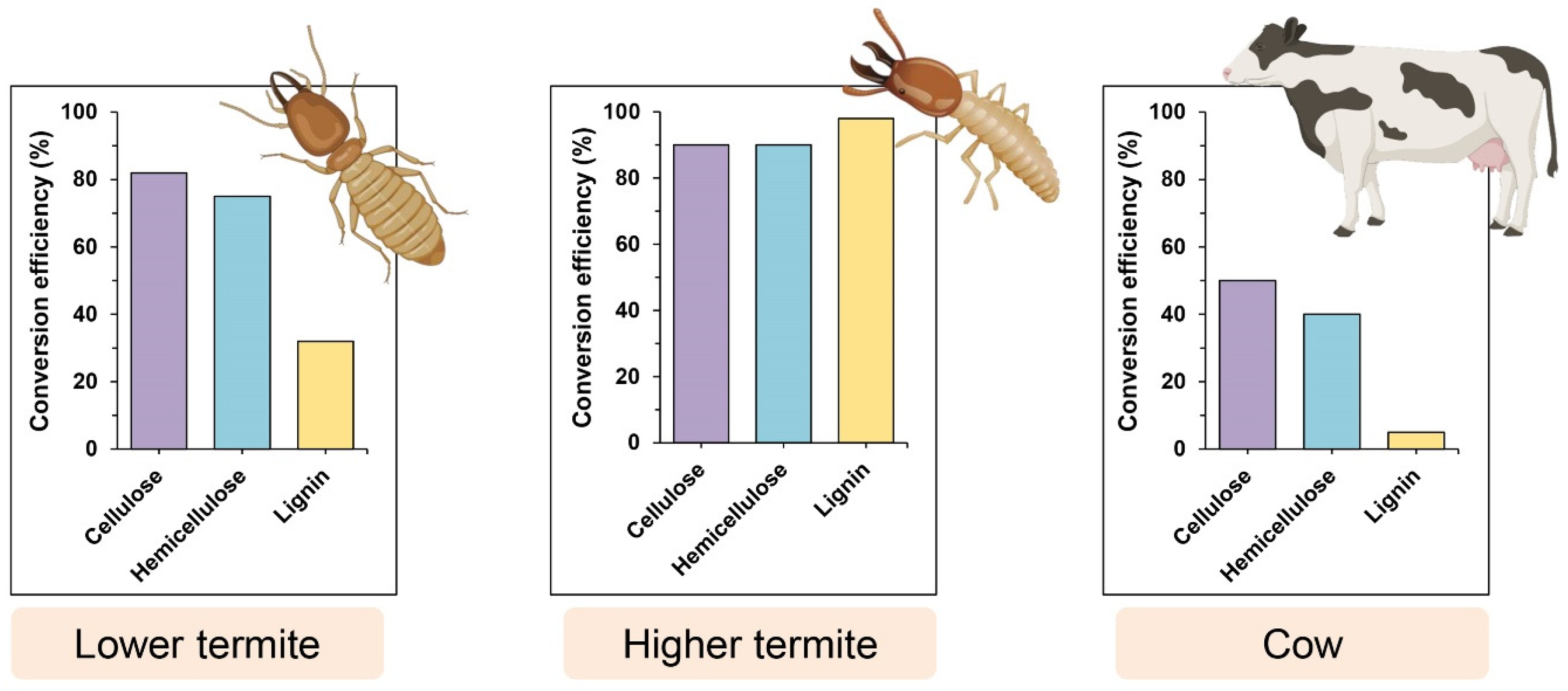 Insects 15 00908 g004a