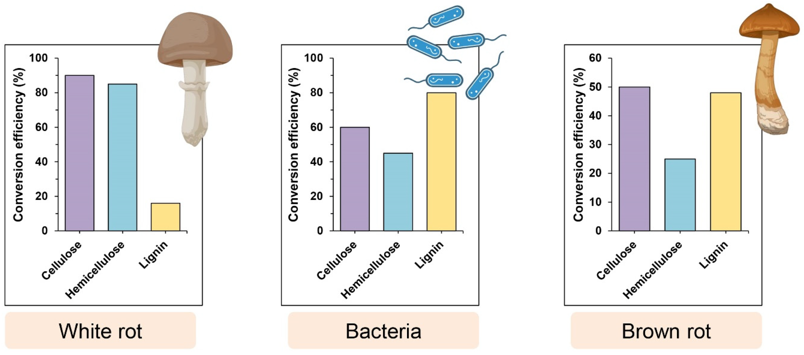 Insects 15 00908 g004b
