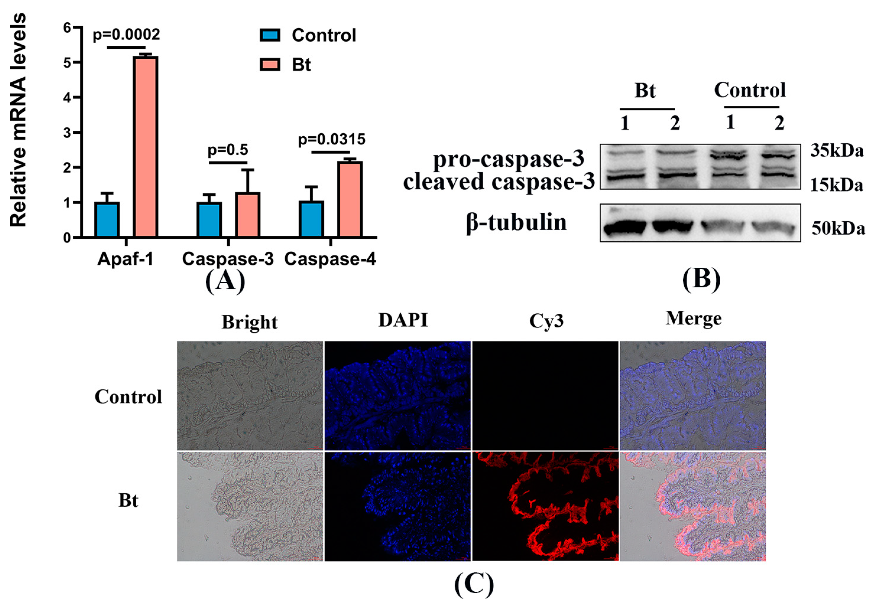 Insects 15 00911 g006