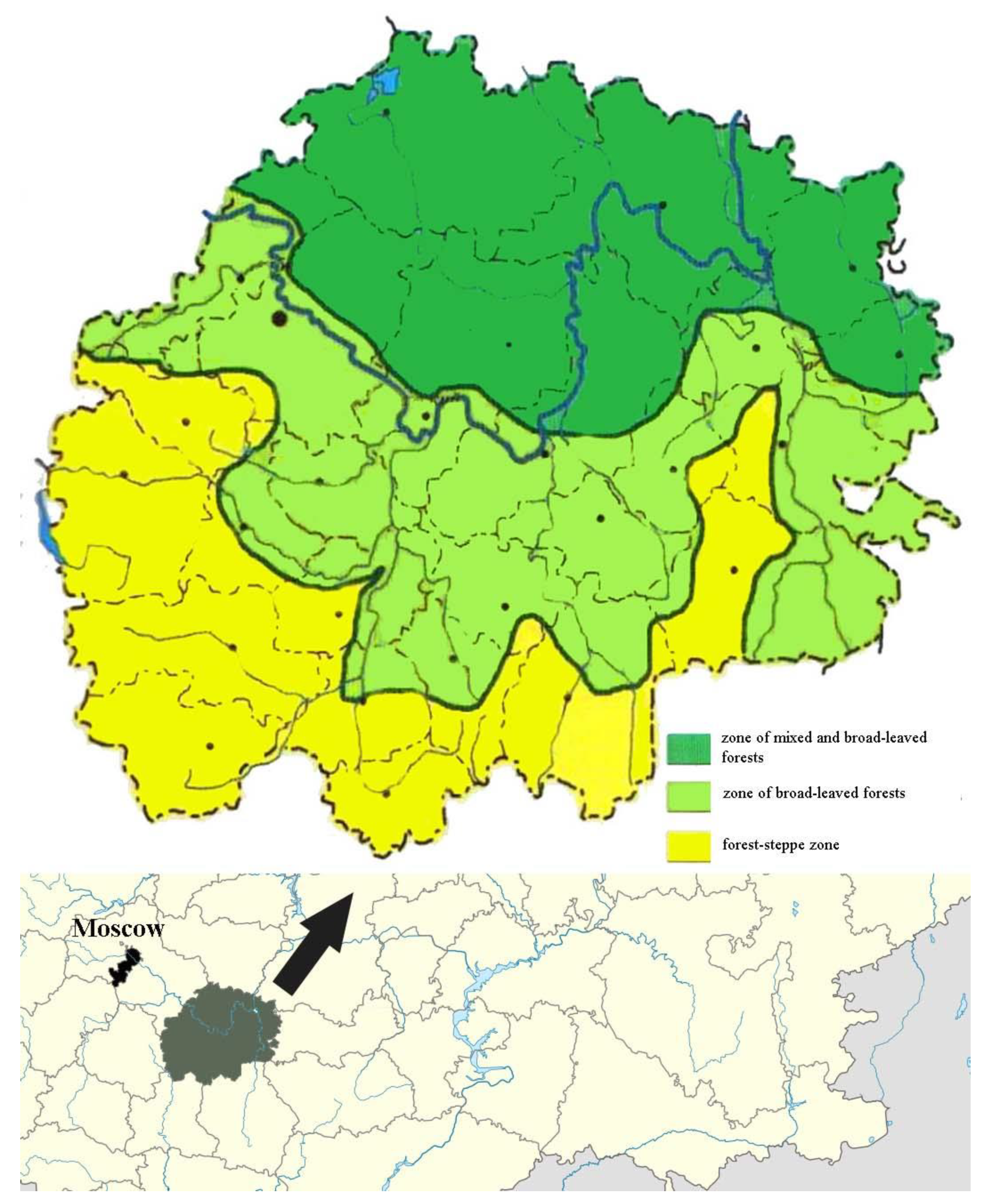 Insects 15 00917 g001