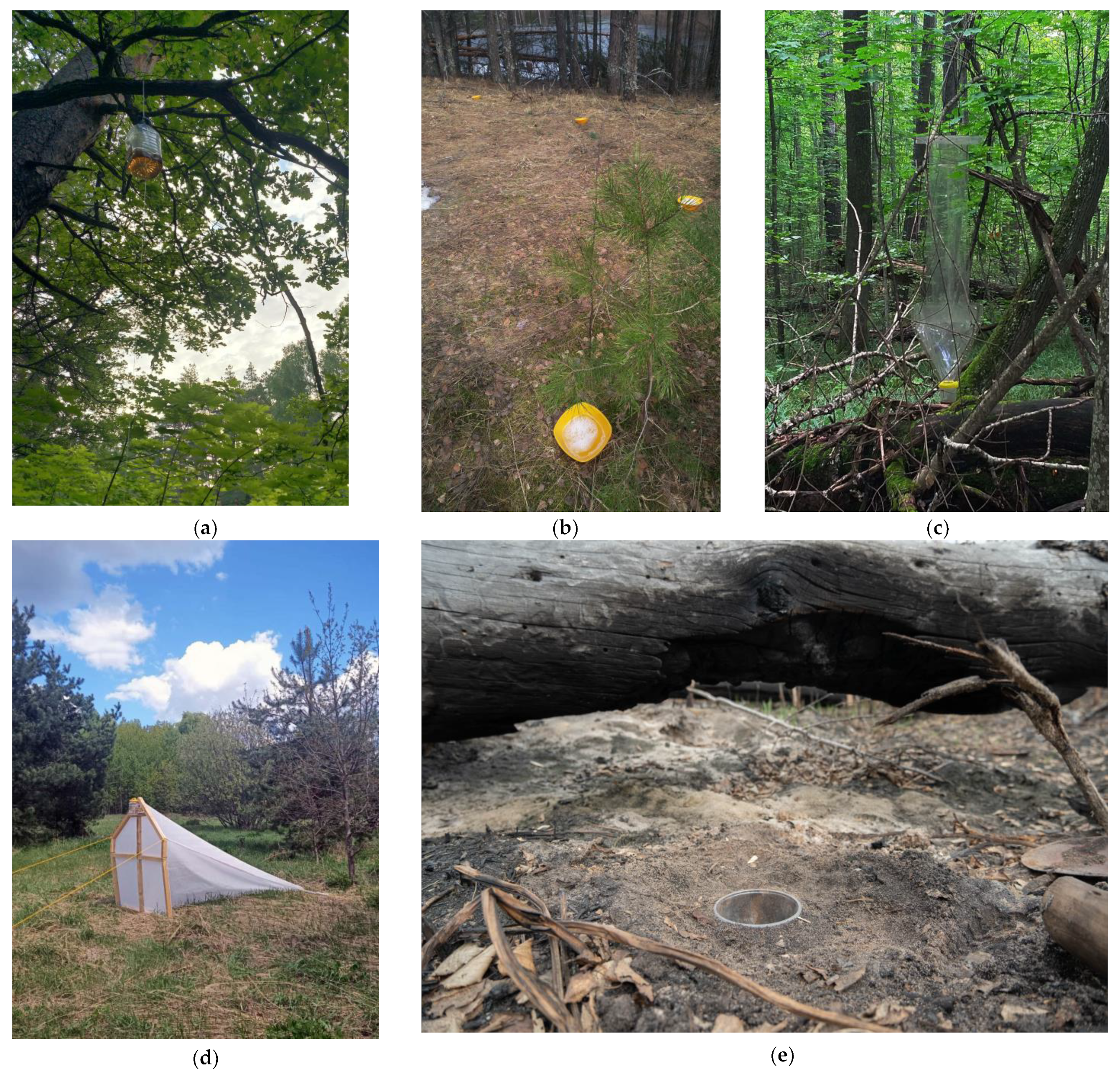 Insects 15 00917 g002