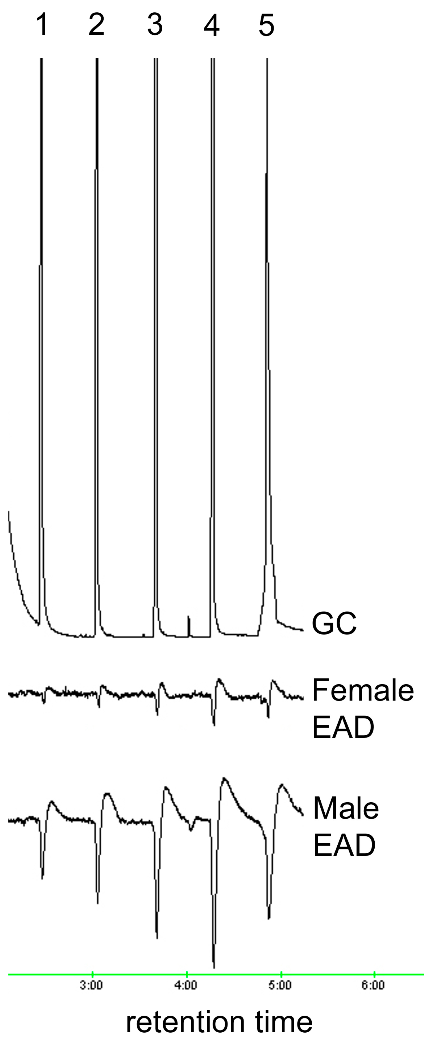 Insects 15 00923 g002 Insects 15 00923 g002