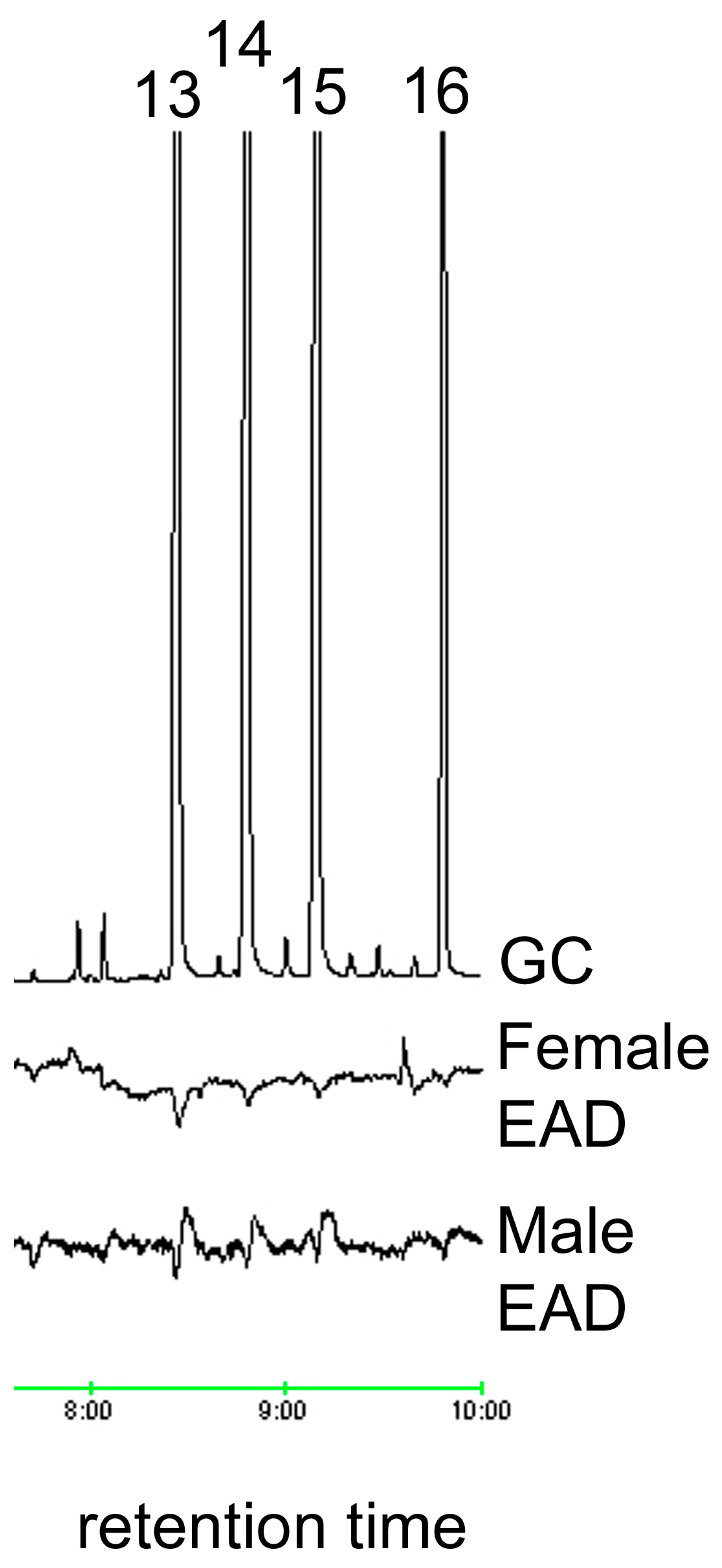 Insects 15 00923 g005 Insects 15 00923 g005