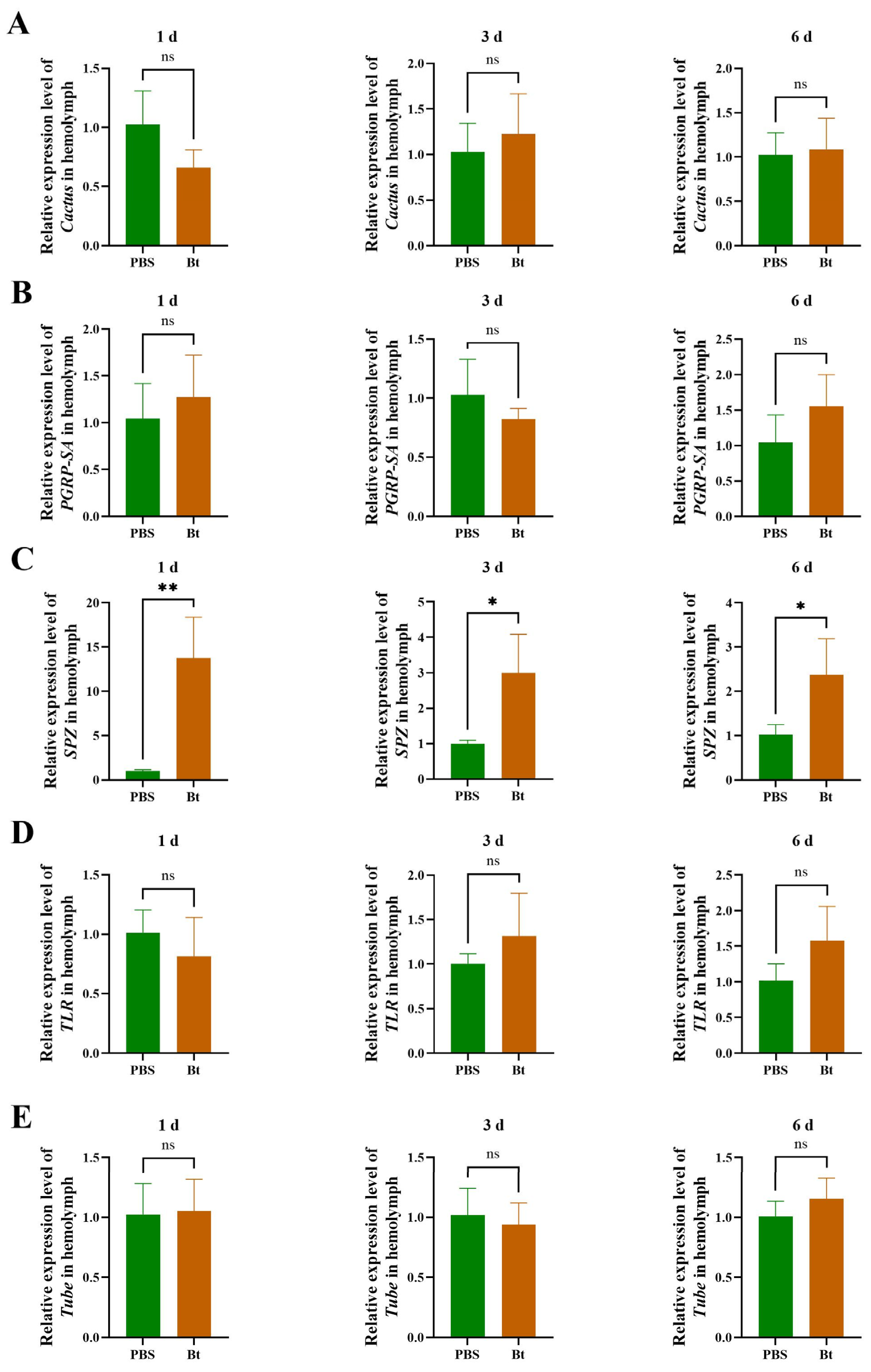Insects 15 00925 g004 Insects 15 00925 g004