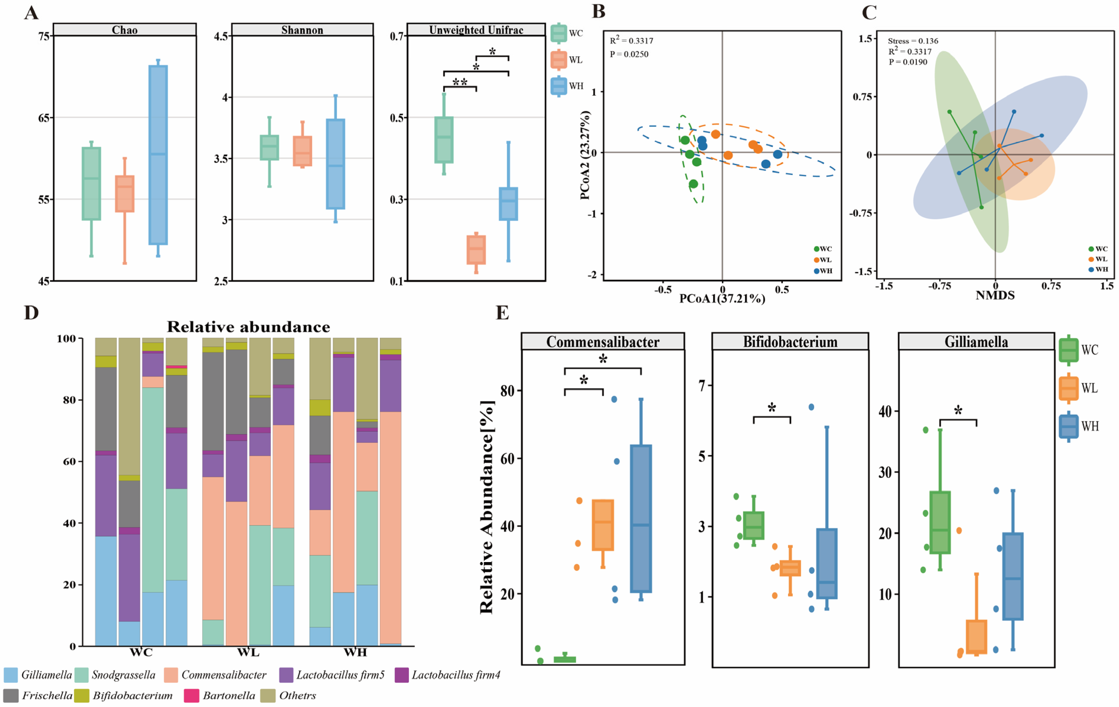 Acetamiprid Exposure Disrupts Gut Microbiota in Adult and