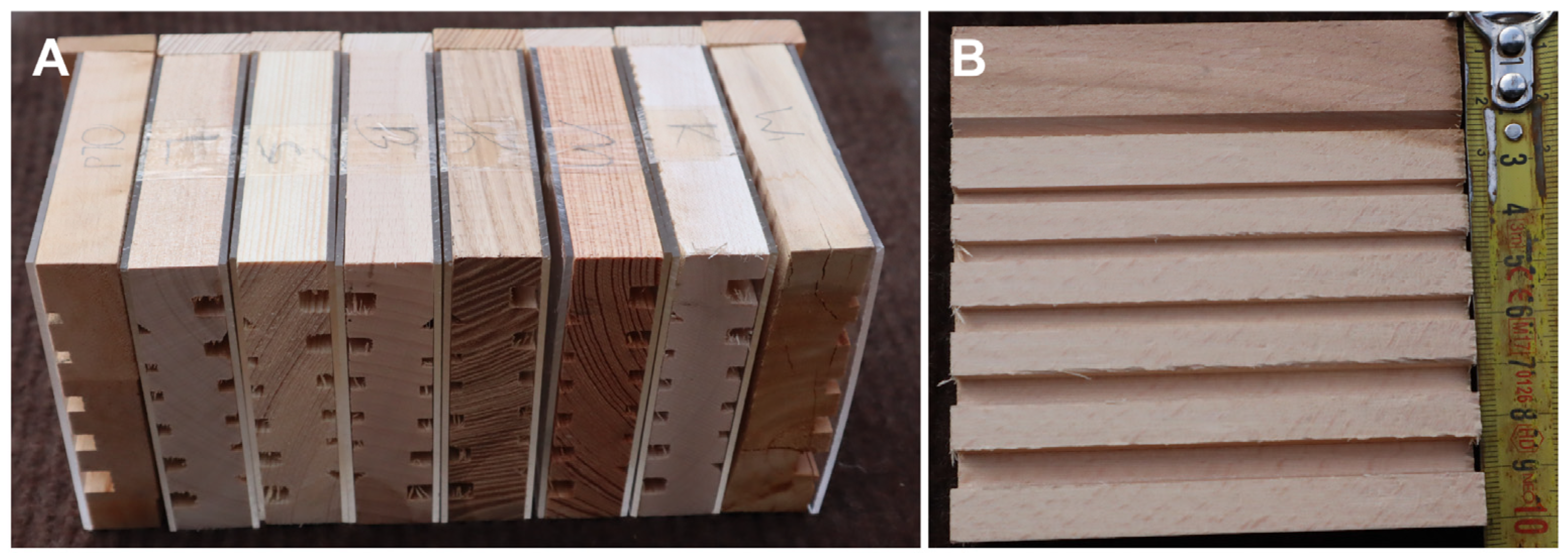 Insects 15 00928 g002