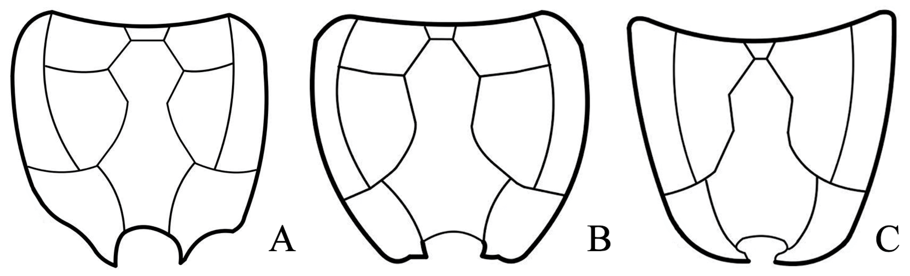 Insects 15 00932 g007