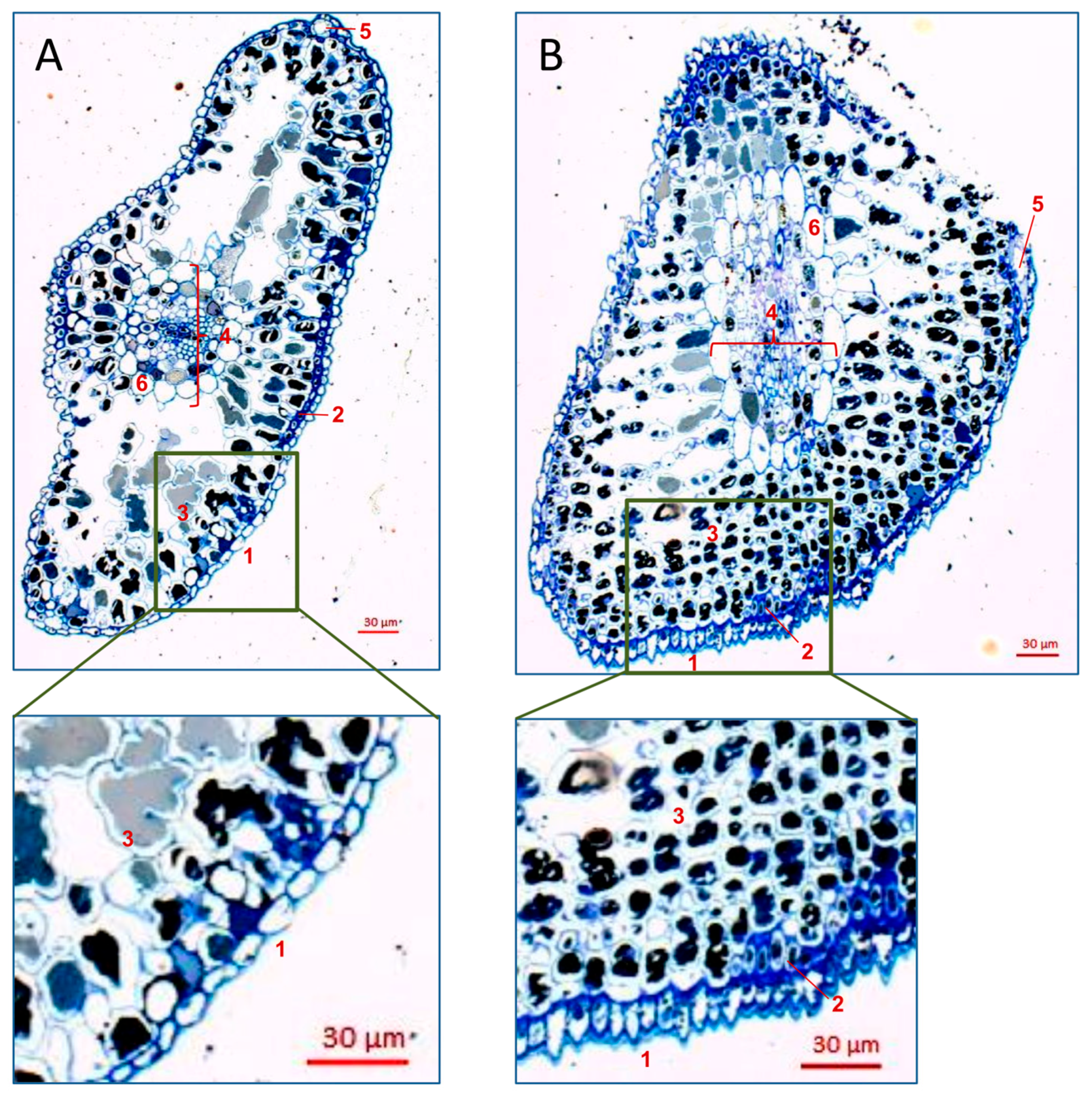 Insects 15 00938 g008
