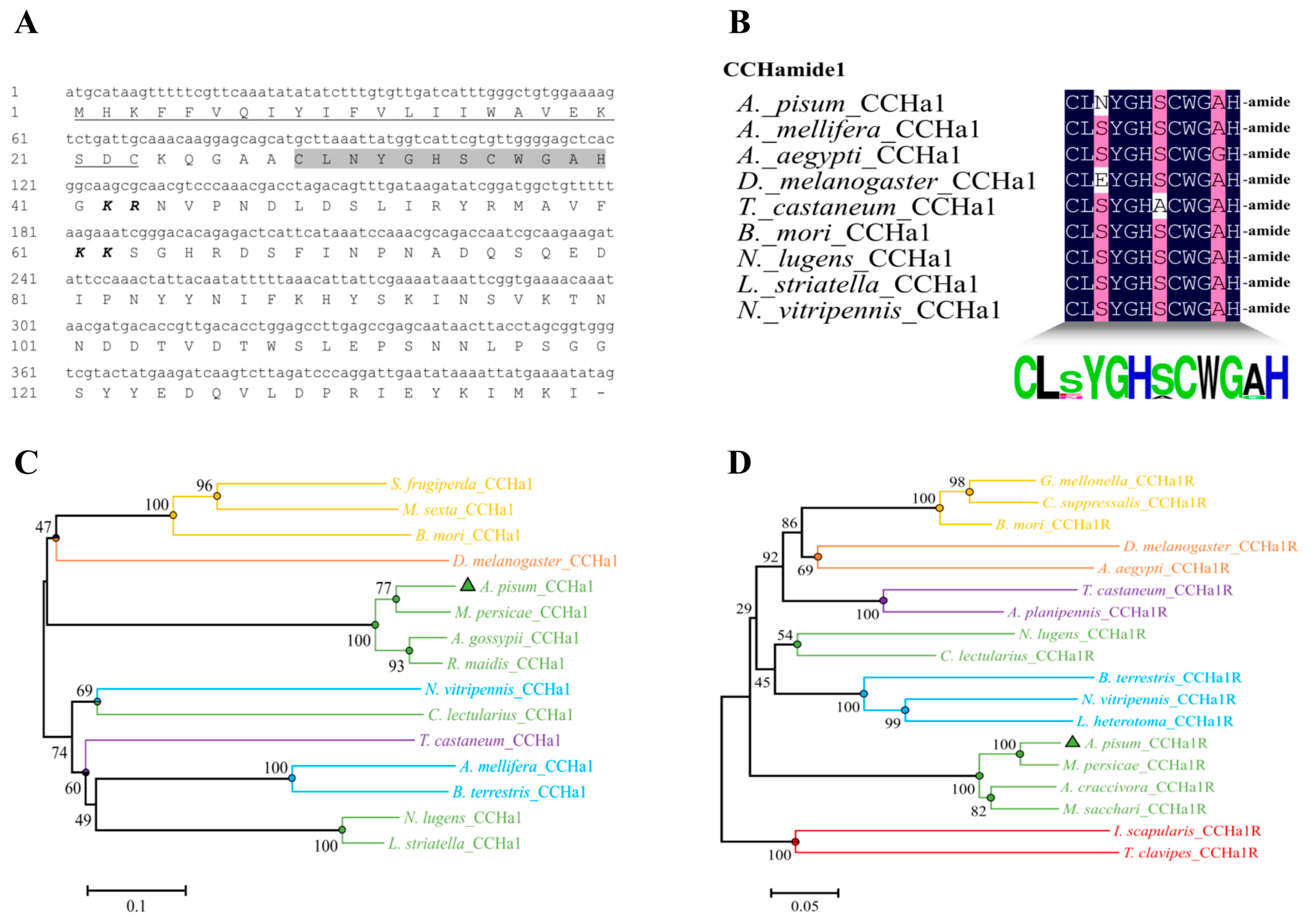 Insects 15 00939 g001
