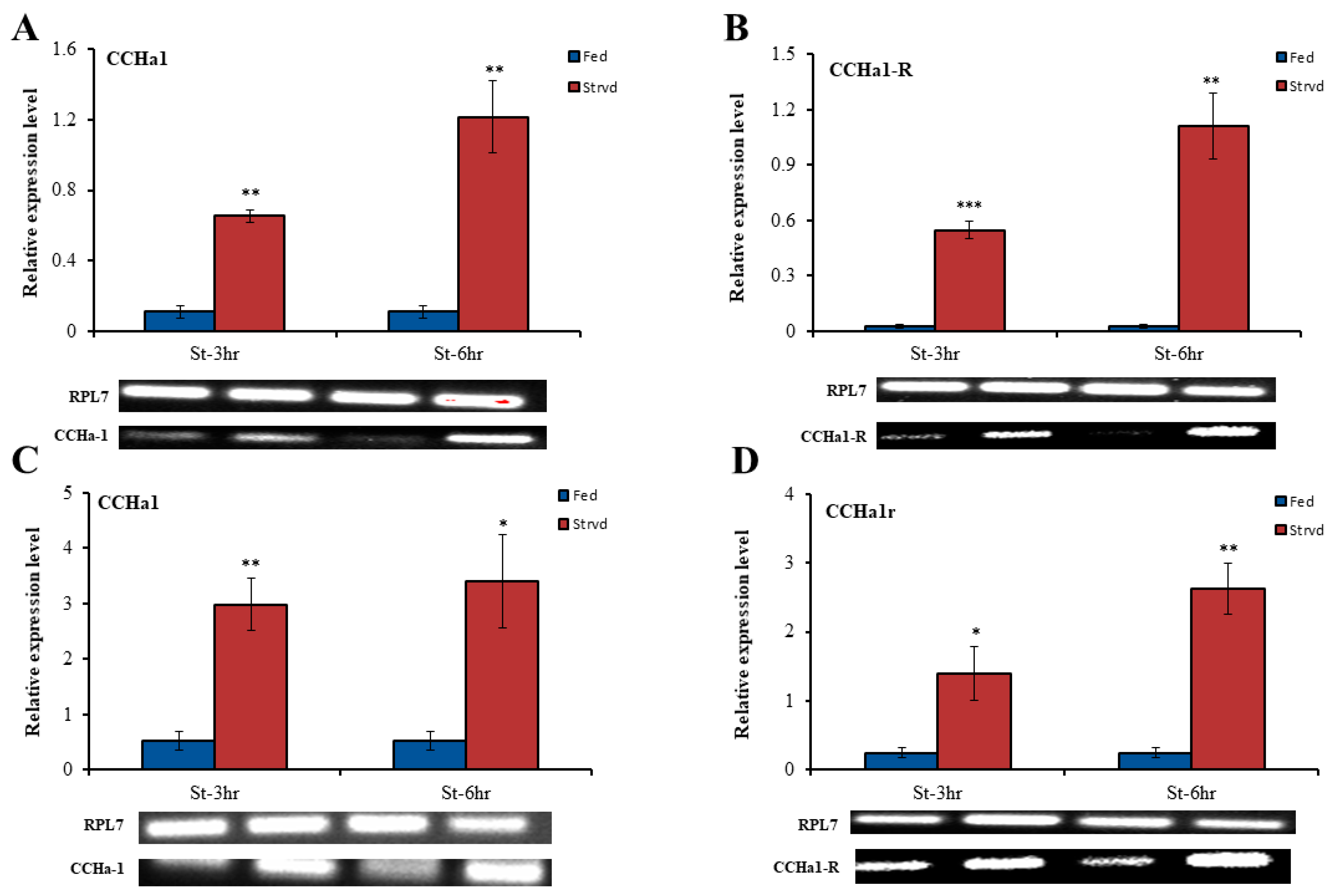 Insects 15 00939 g004