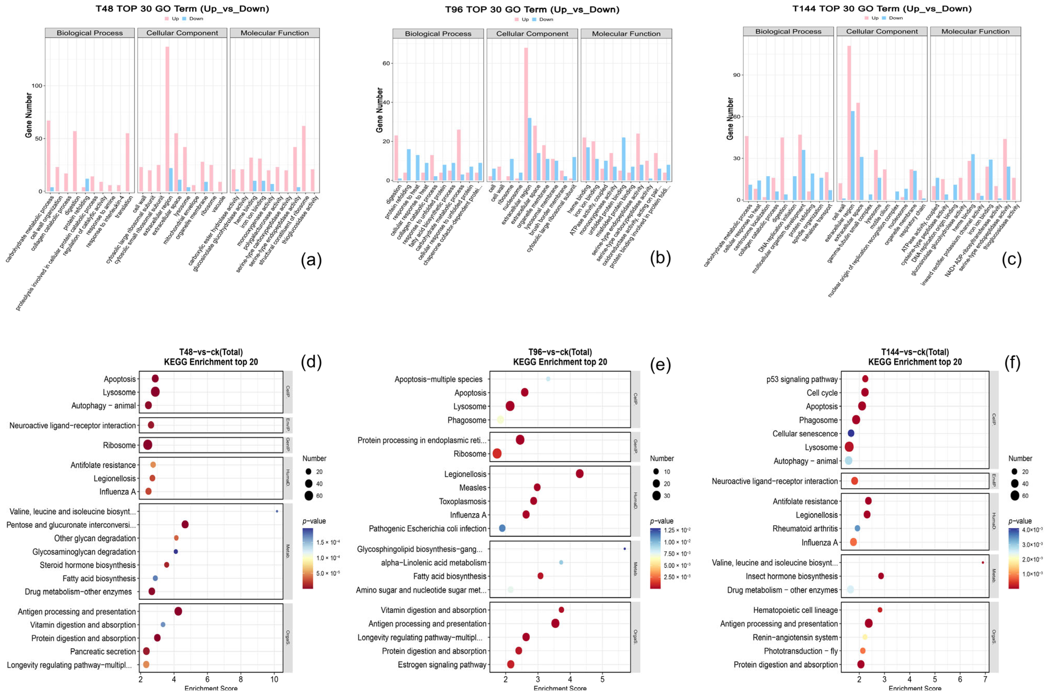 Insects 15 00940 g004 Insects 15 00940 g004