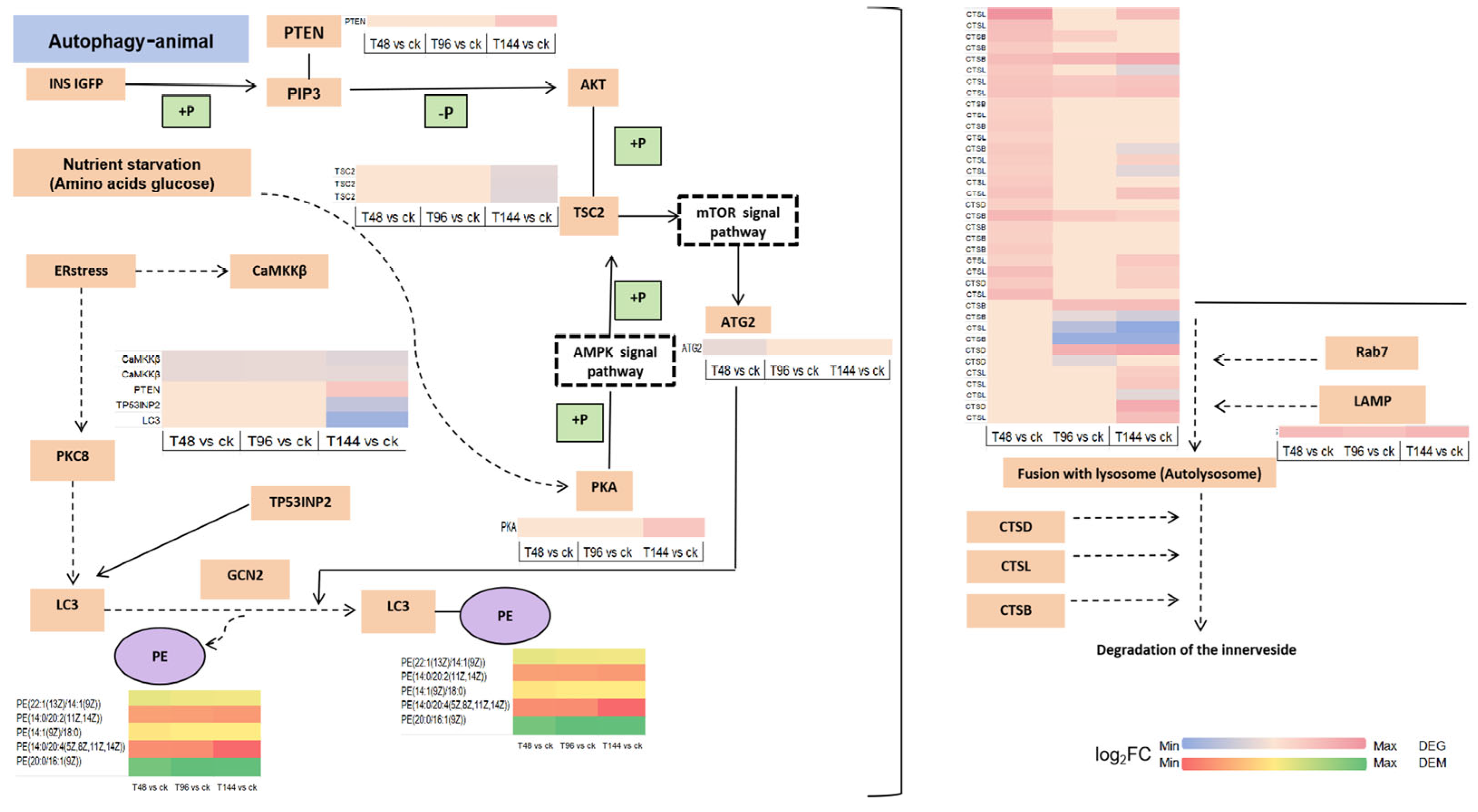 Insects 15 00940 g010 Insects 15 00940 g010