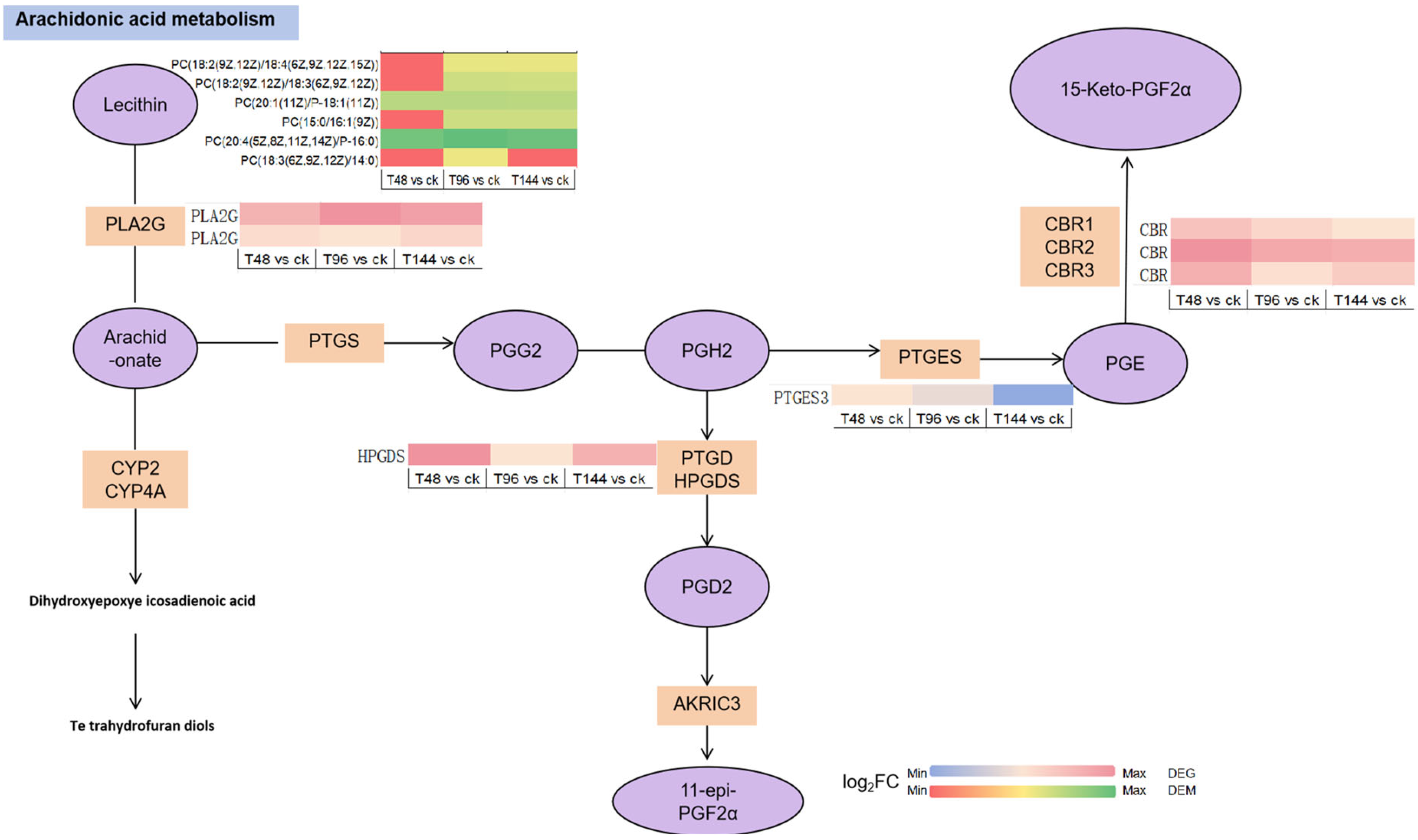Insects 15 00940 g011 Insects 15 00940 g011