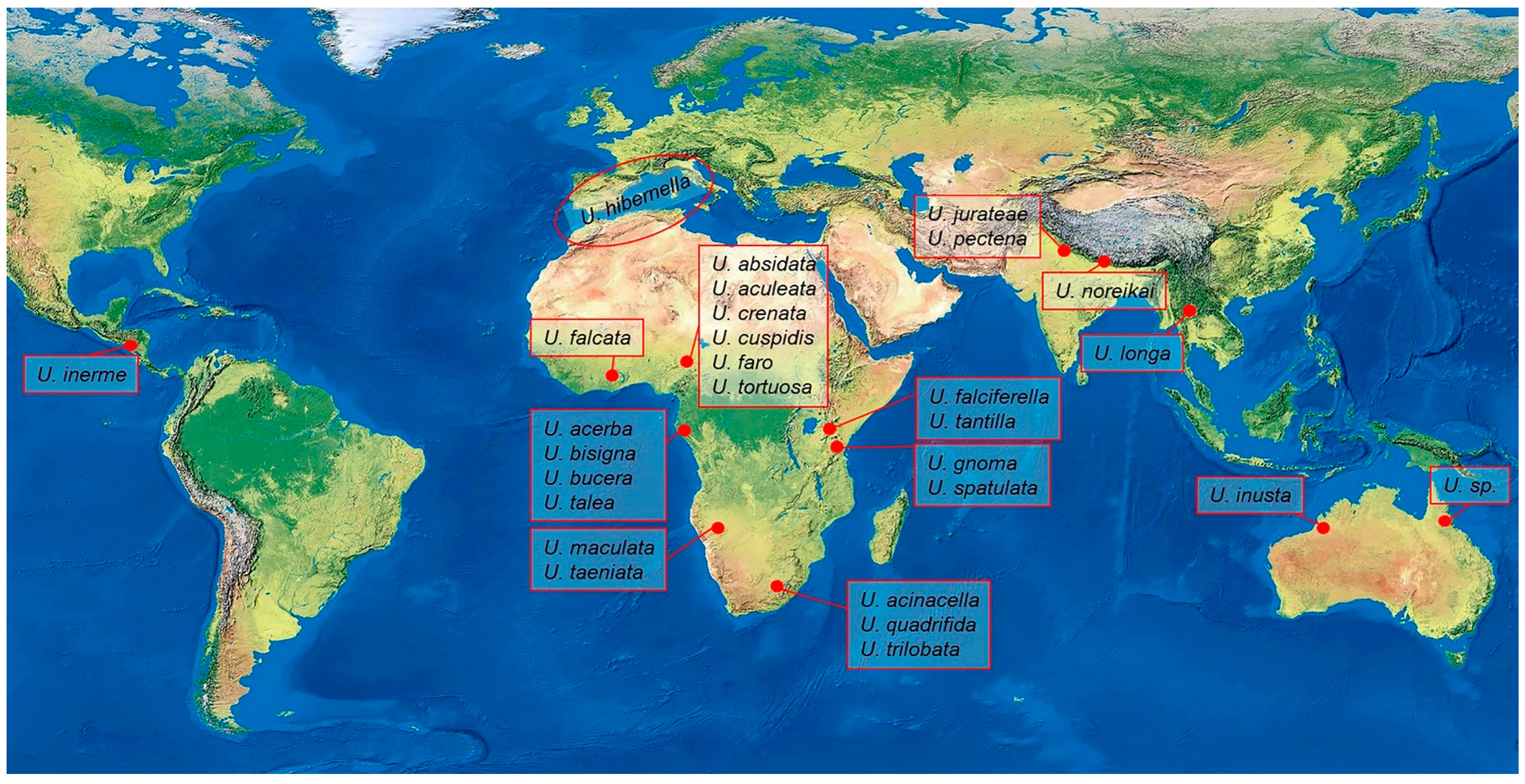Insects 15 00941 g001 Insects 15 00941 g001