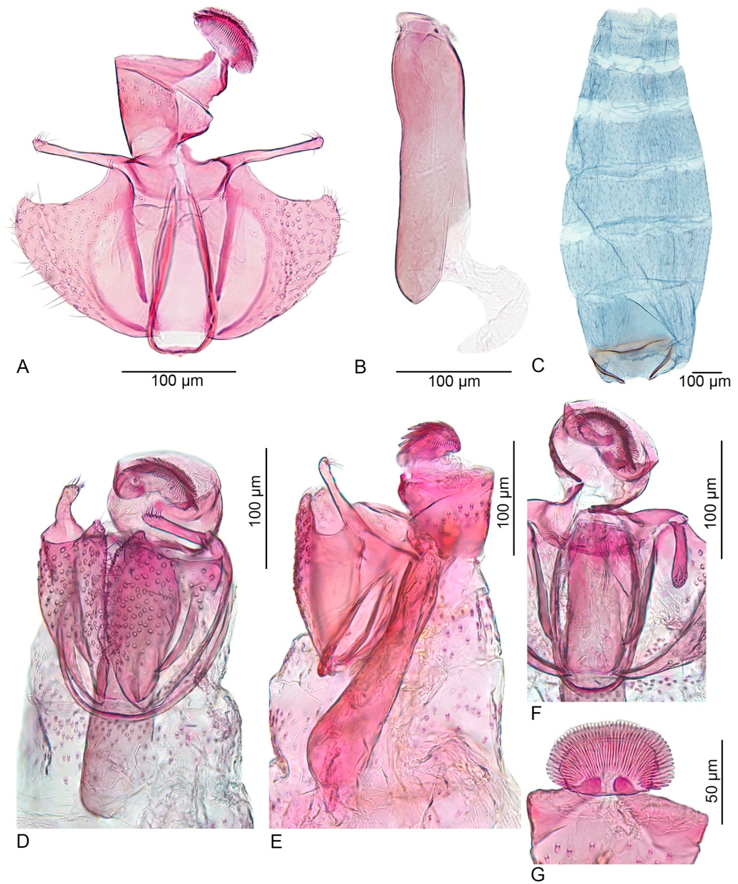 Insects 15 00941 g003 Insects 15 00941 g003
