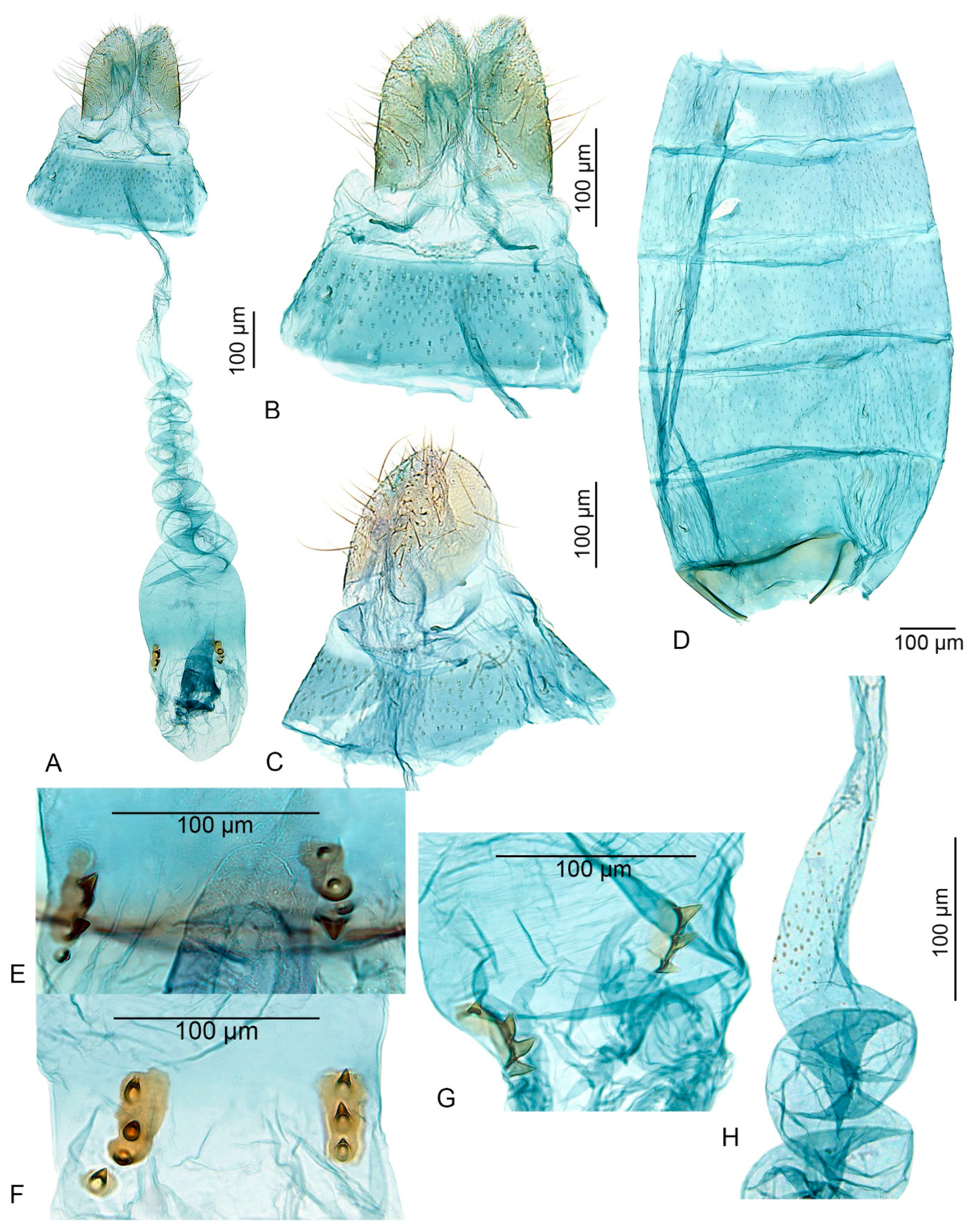 Insects 15 00941 g004 Insects 15 00941 g004
