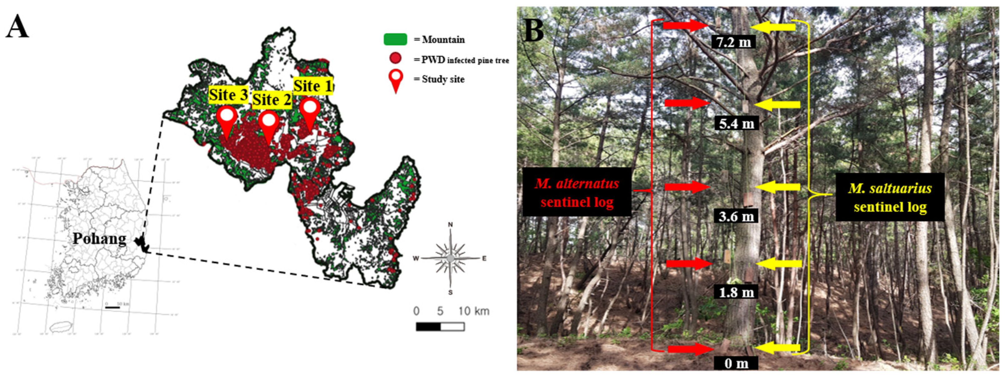 Insects 15 00943 g001