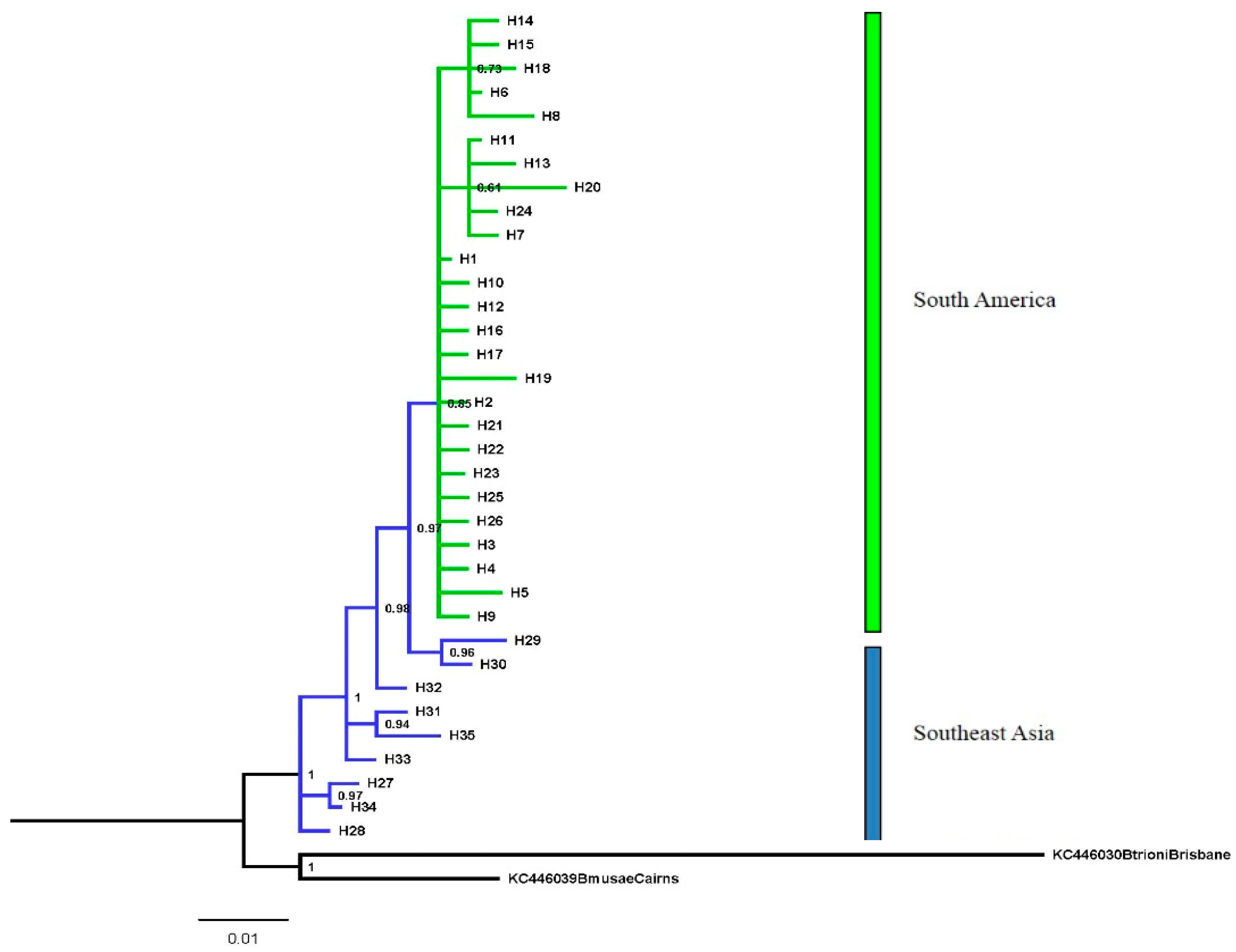 Insects 15 00949 g002