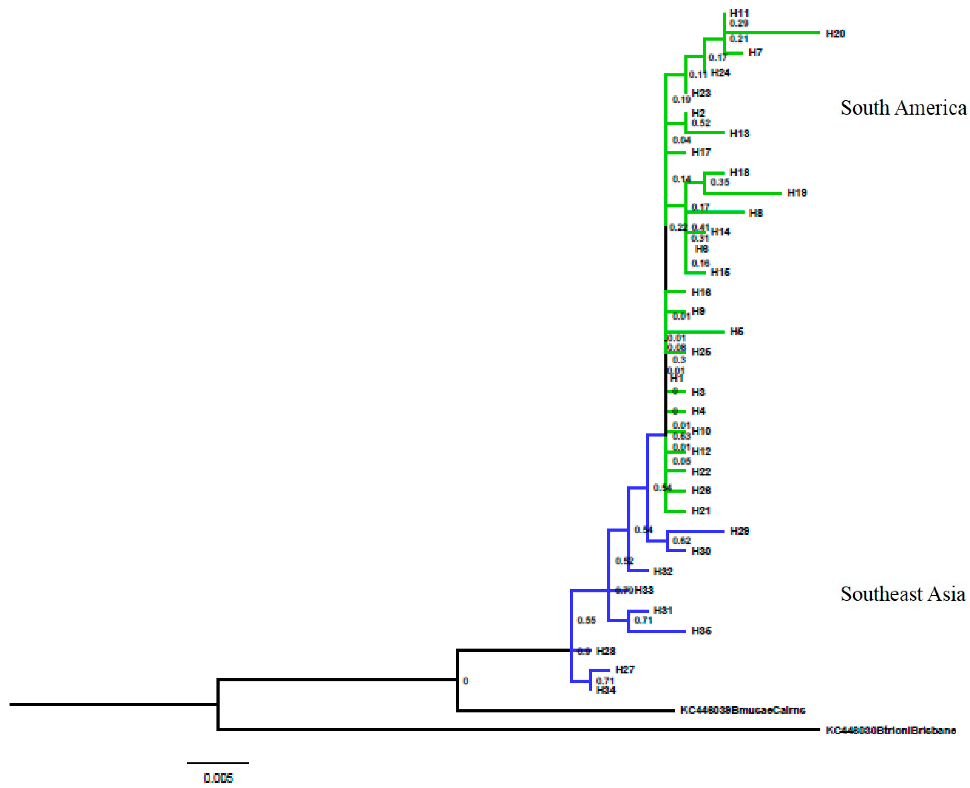 Insects 15 00949 g003