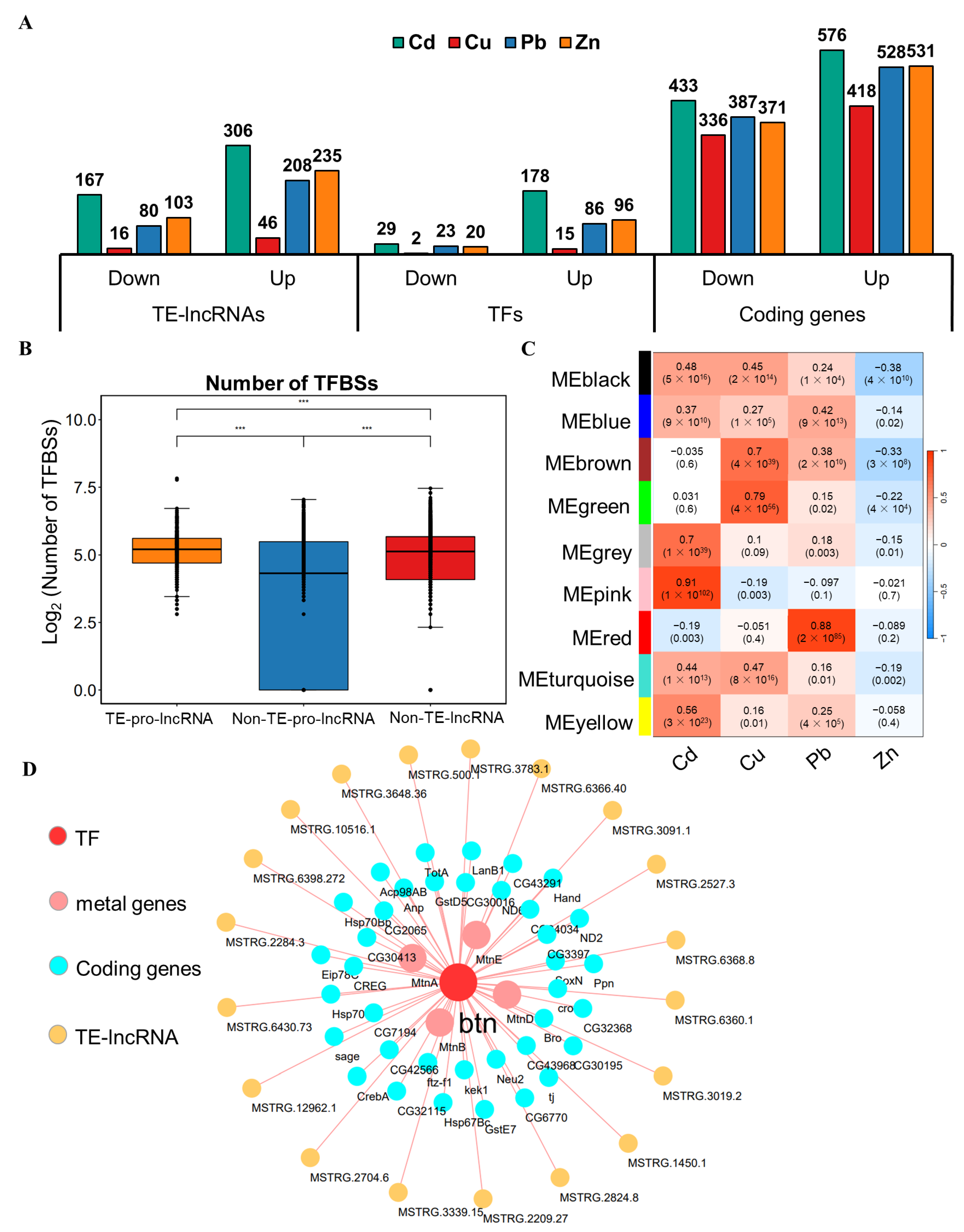 Insects 15 00950 g005