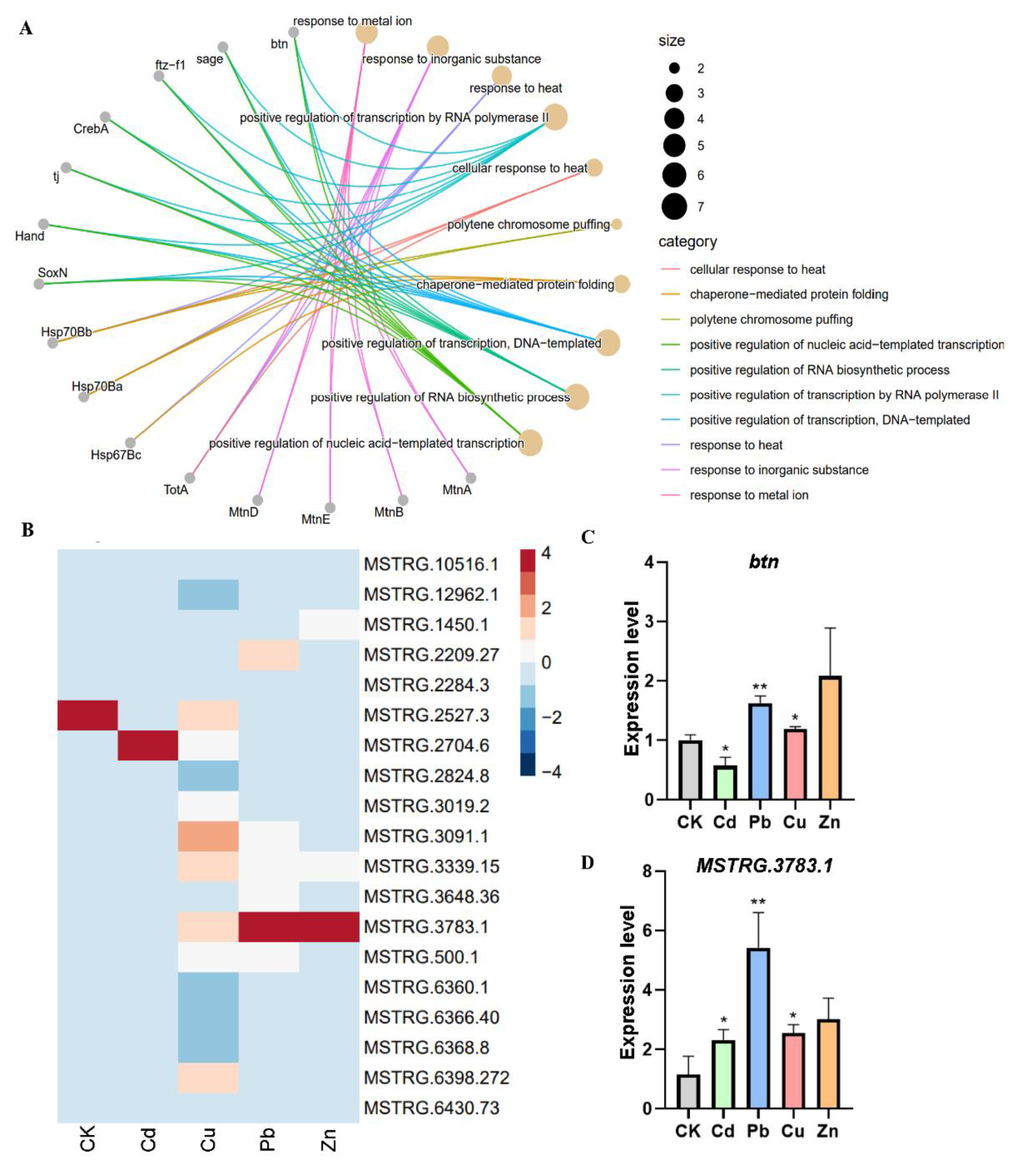 Insects 15 00950 g006