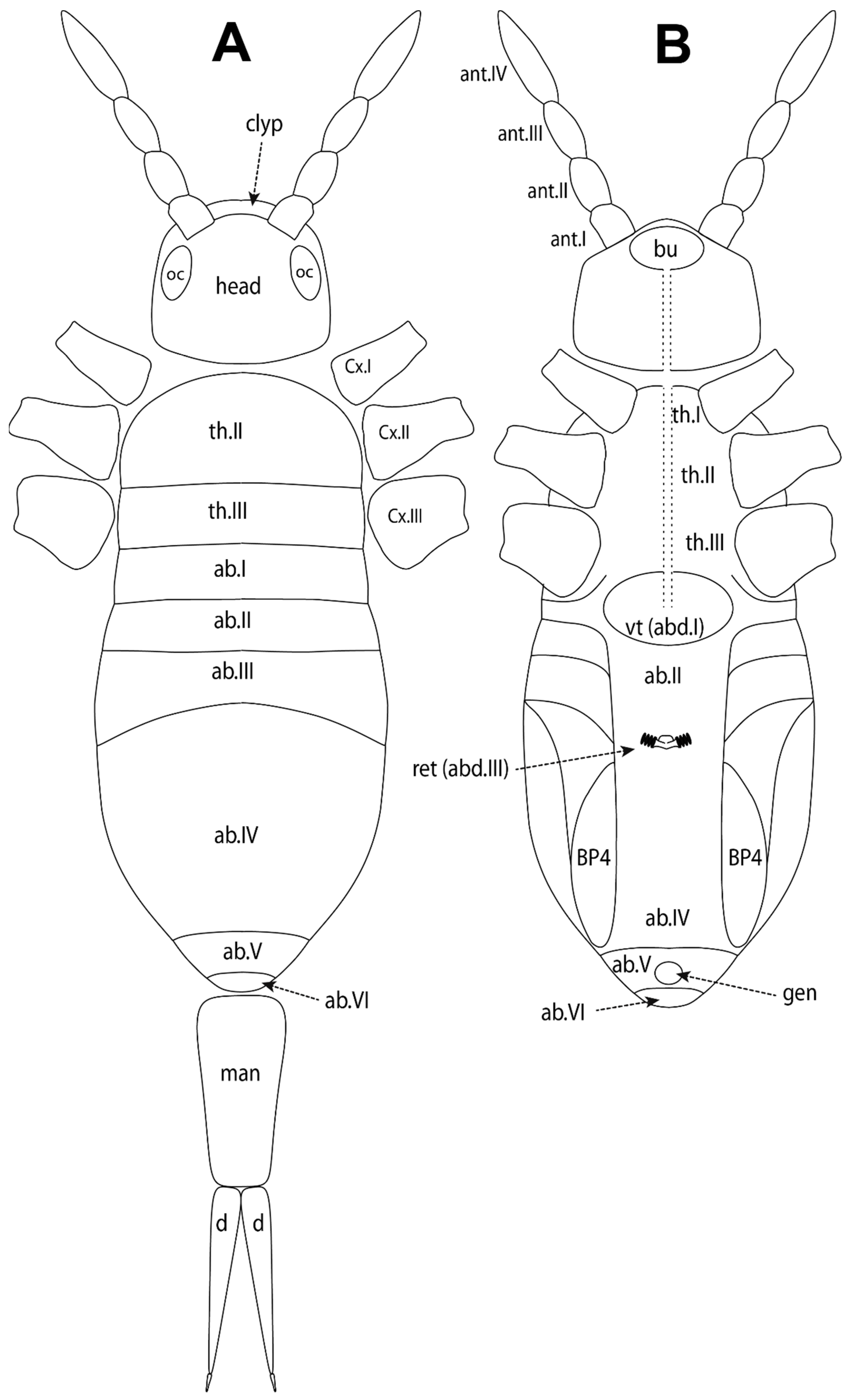 Insects 15 00951 g0a1