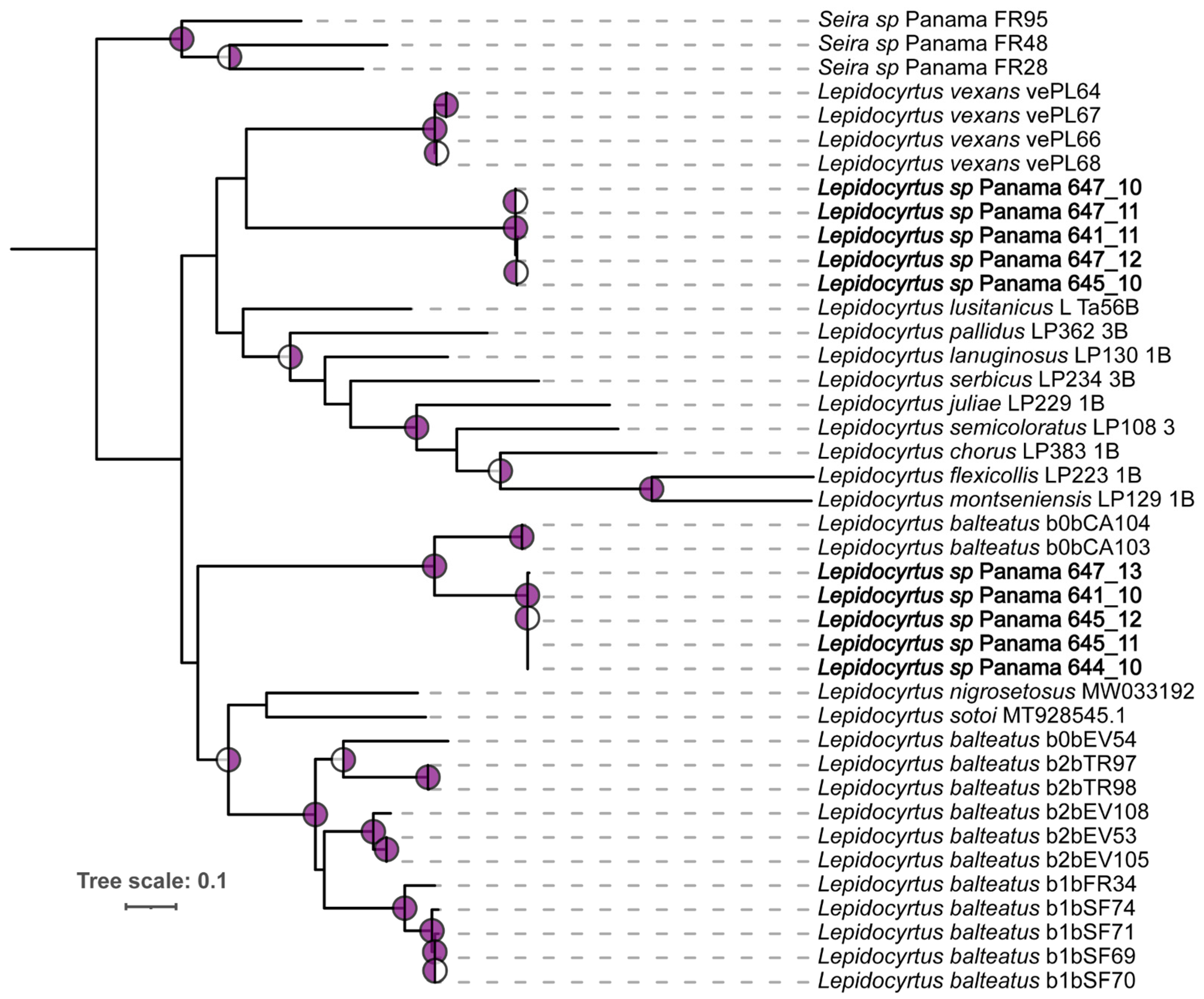 Insects 15 00951 g0a2