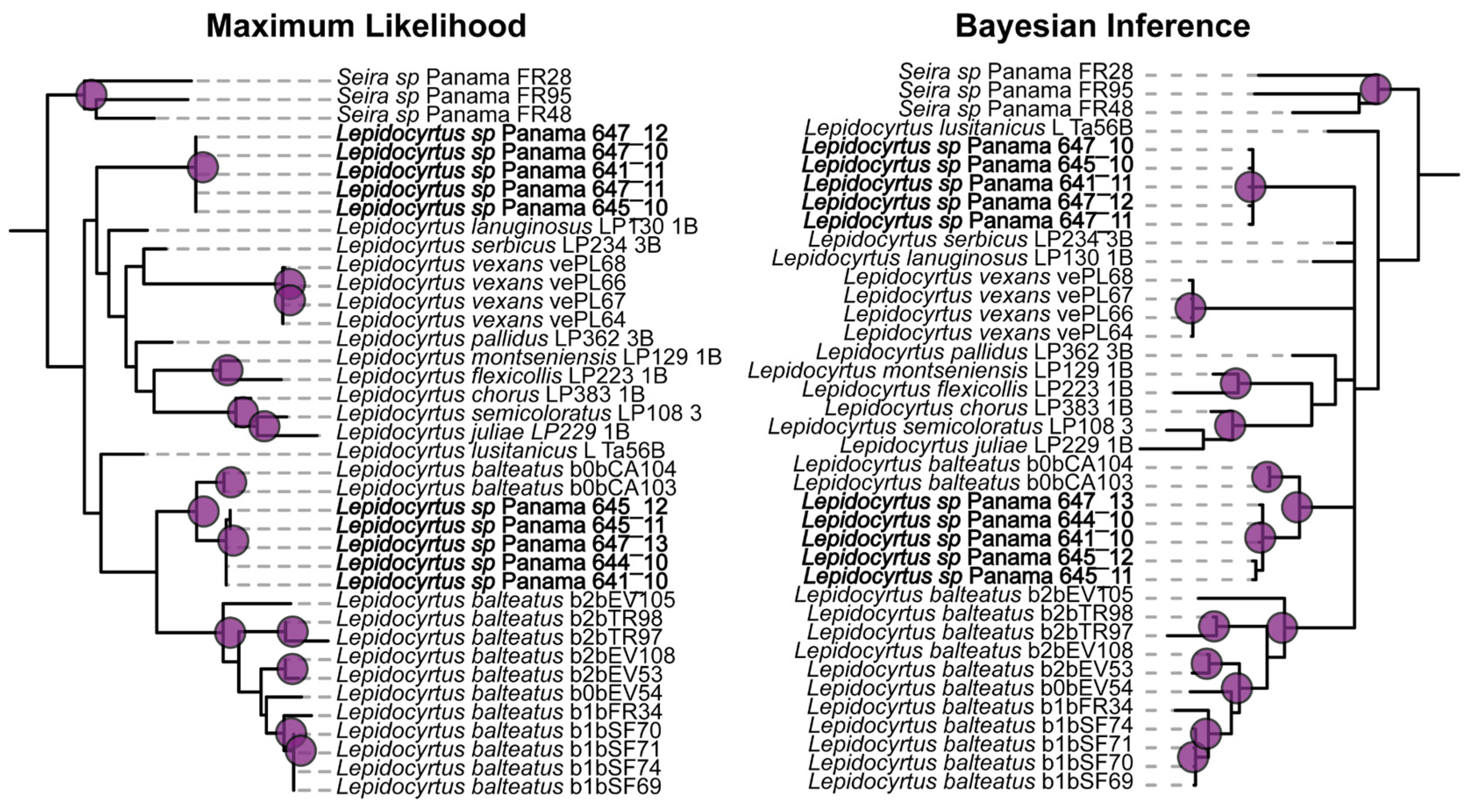 Insects 15 00951 g0a3