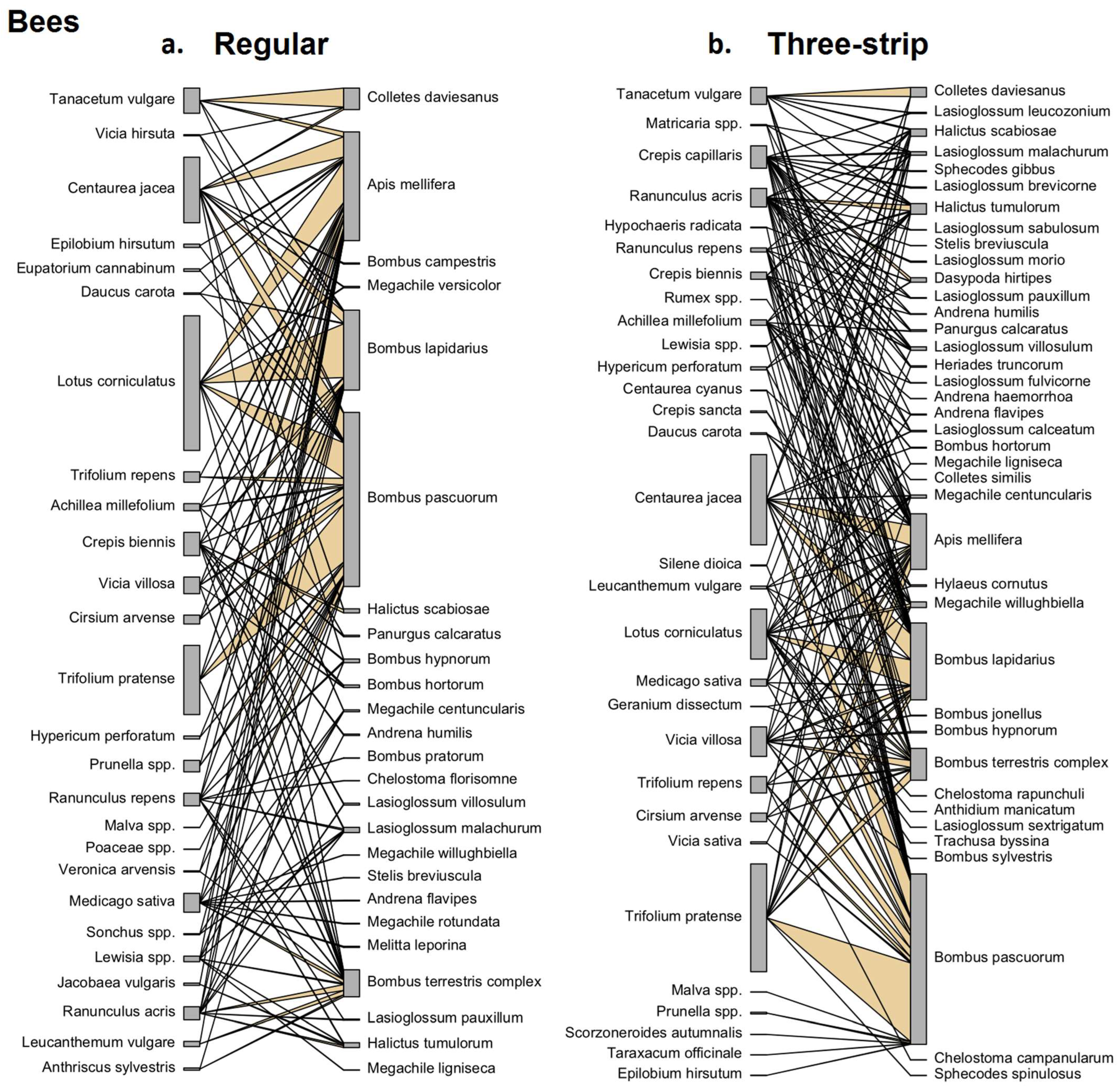 Insects 15 00953 g004