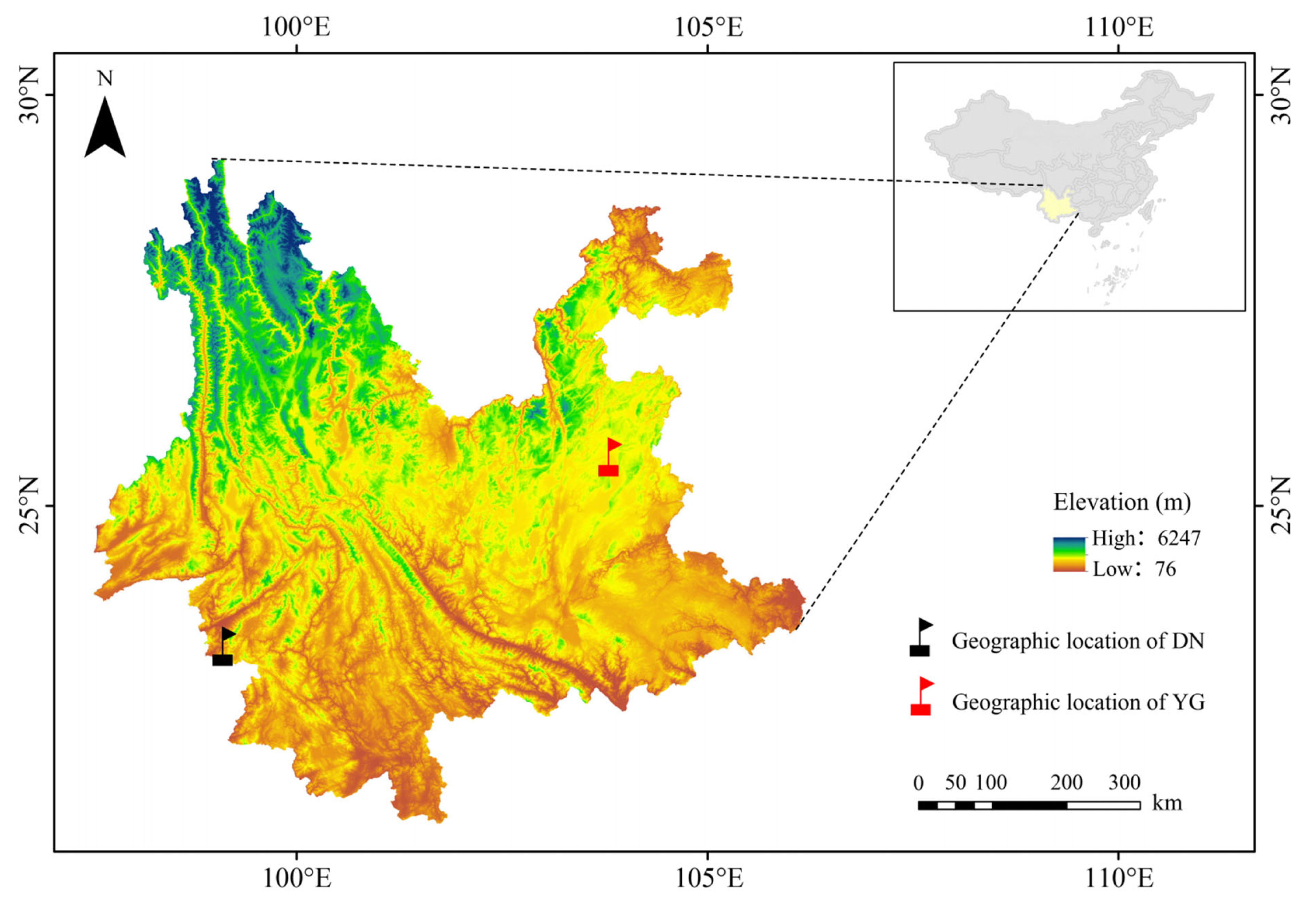 Insects 15 00960 g001