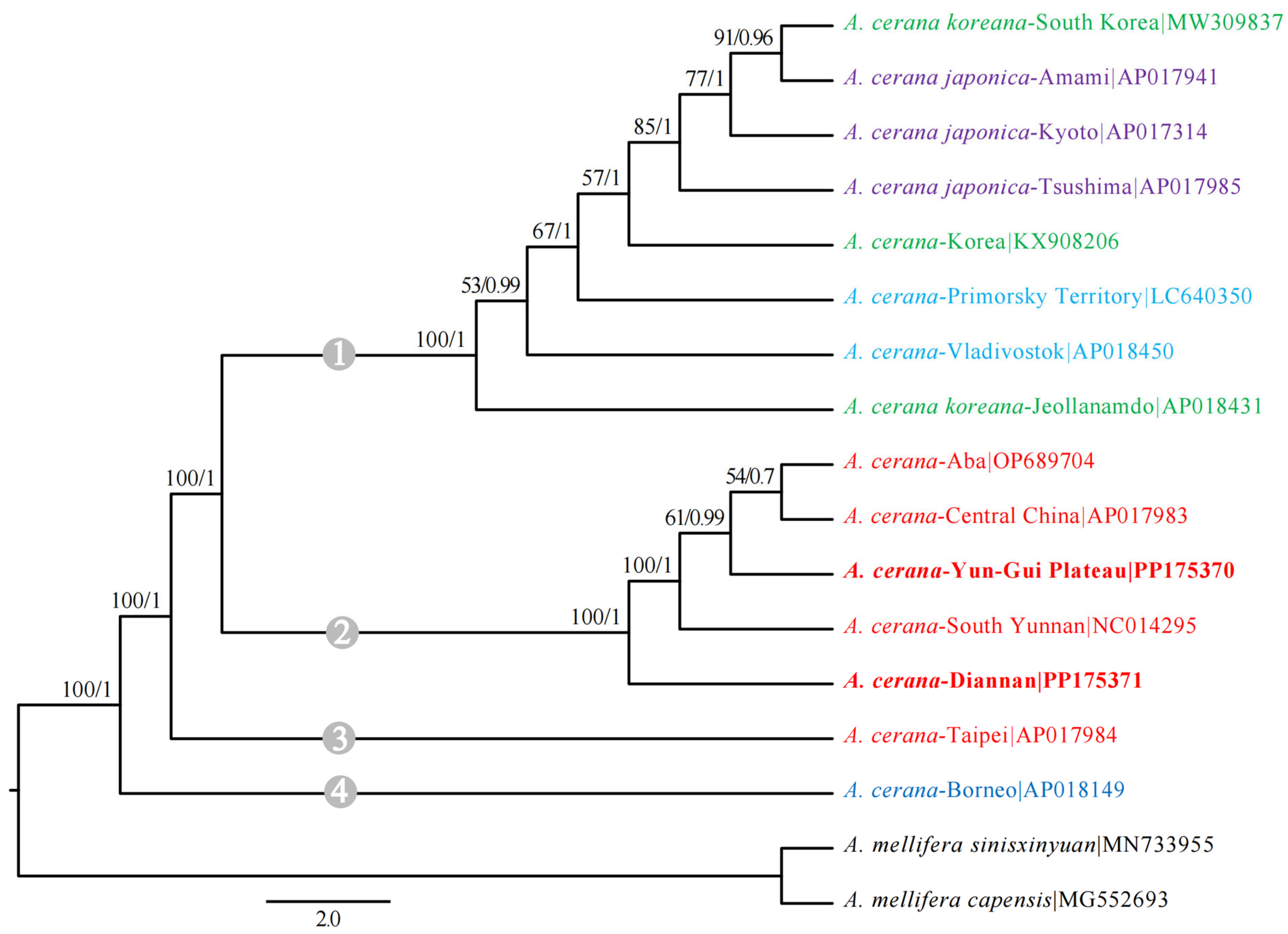 Insects 15 00960 g005