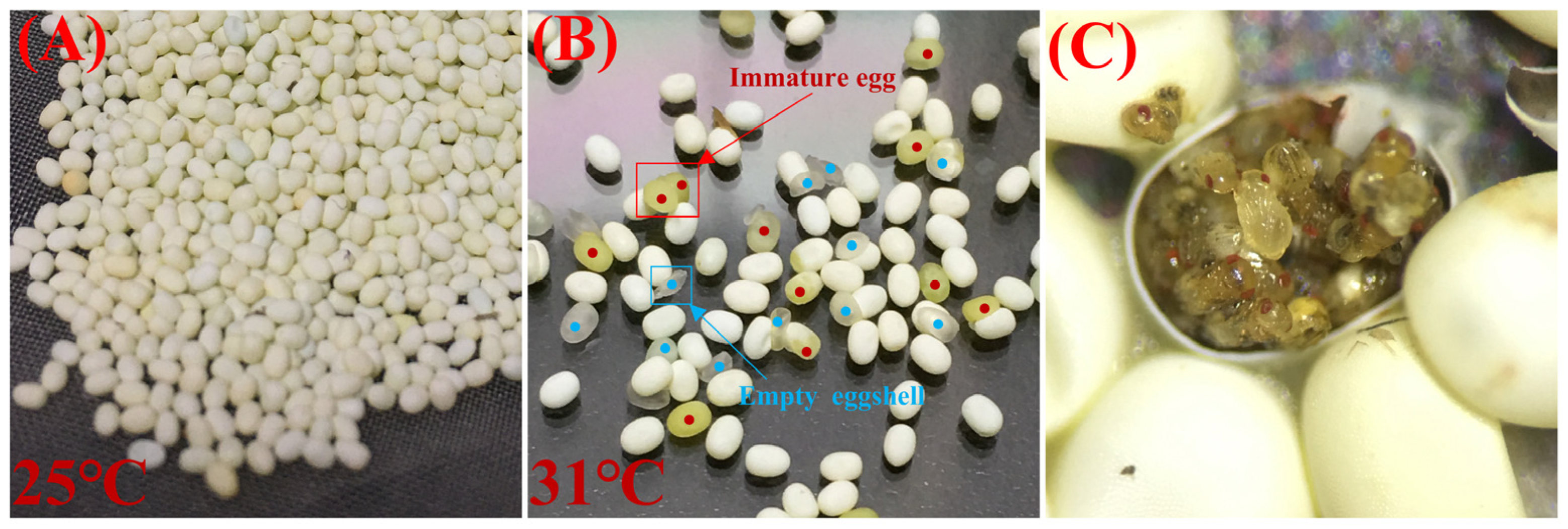 Insects 15 00963 g005