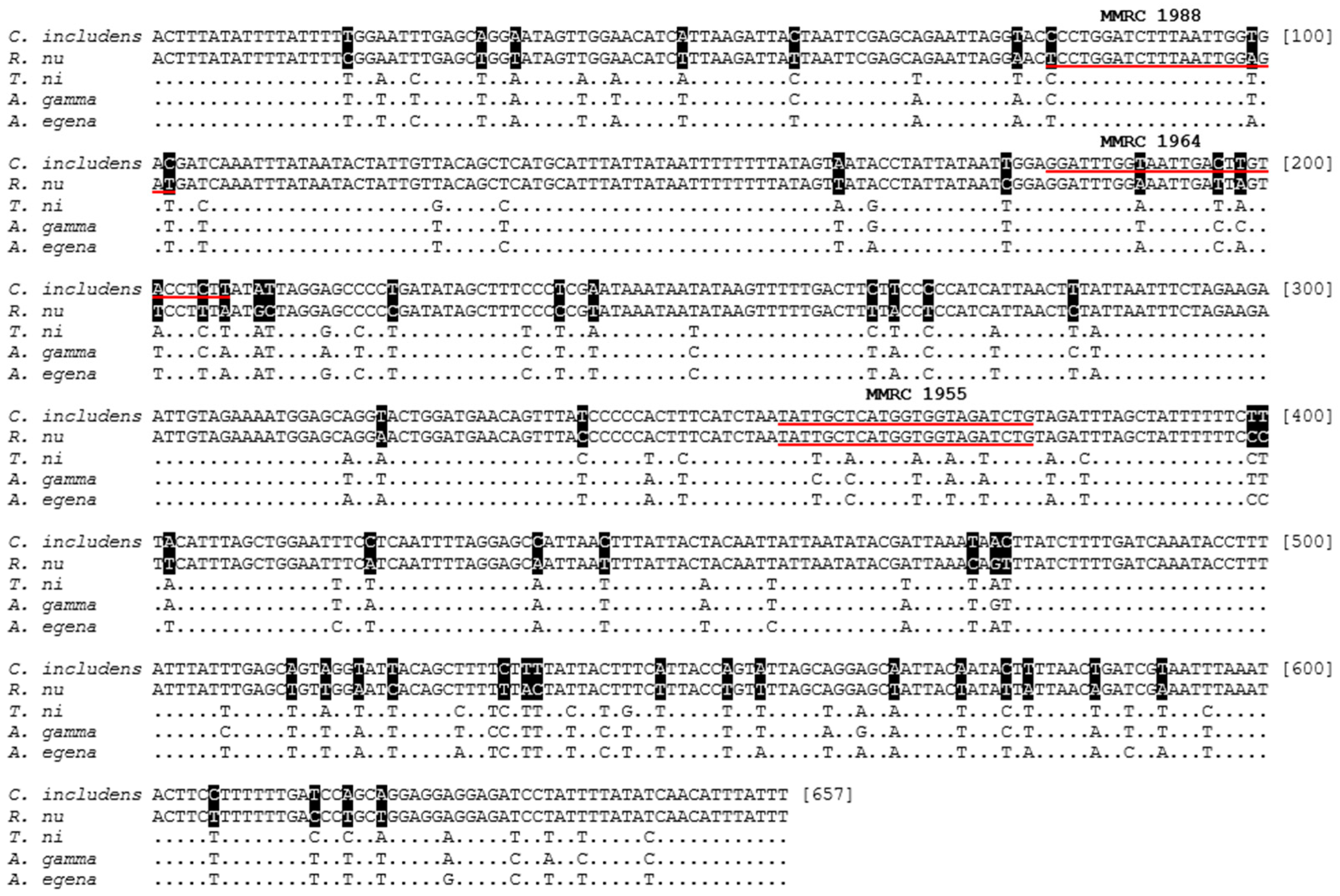 Insects 15 00969 g001