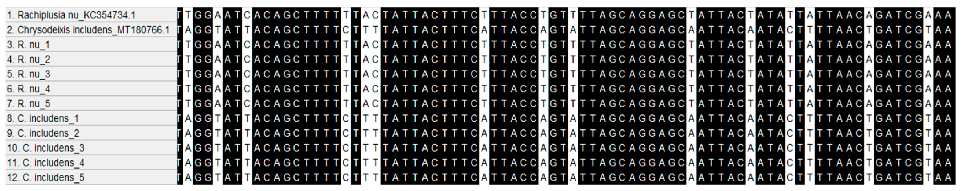 Insects 15 00969 g002