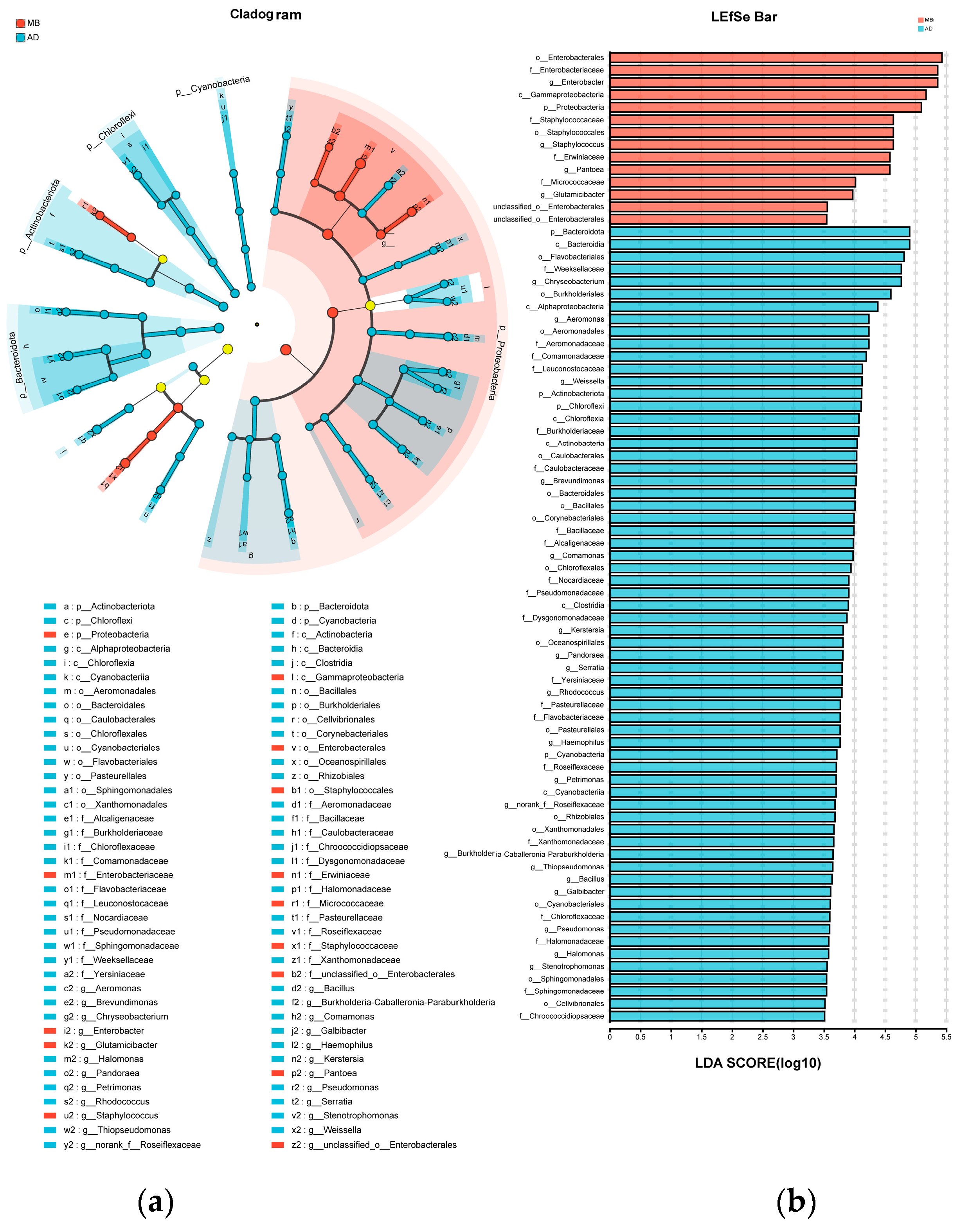 Insects 15 00970 g004