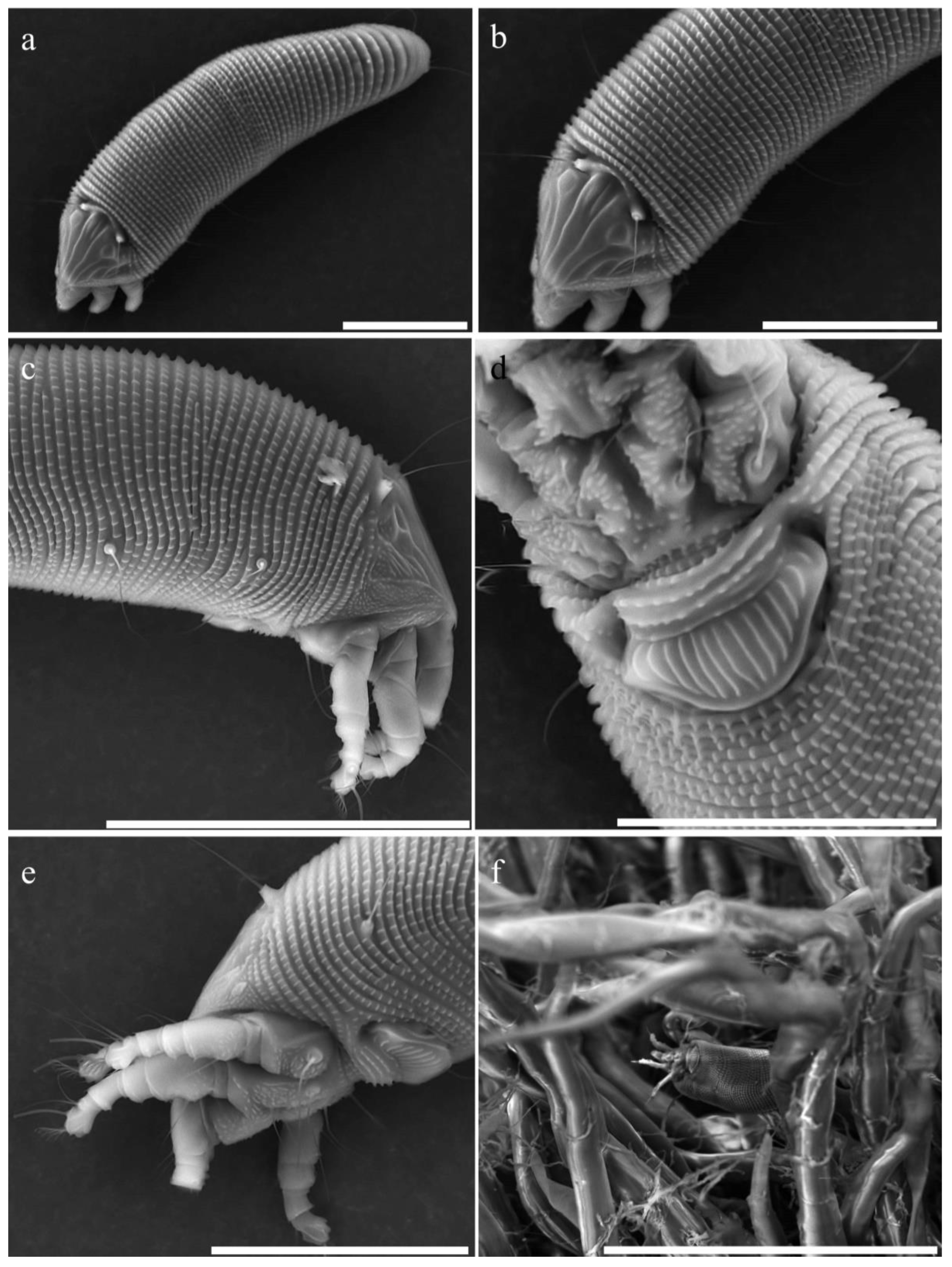 Insects 15 00972 g003